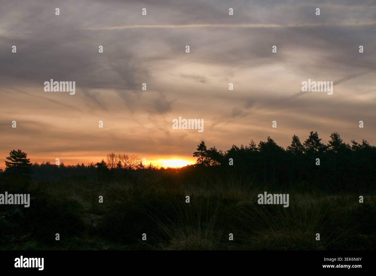 Dramatic Sunset Sky Above Dark Tree Silhouettes and Cloud Cover Stock Photo