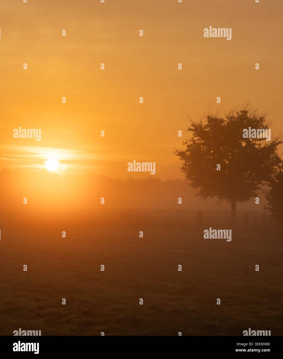 Golden dawn colors mist hi-res stock photography and images - Alamy