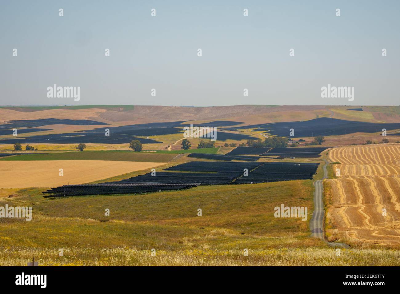 Image of Recurrent Energy's Rey Solar photovoltaic plant in Carmona ...