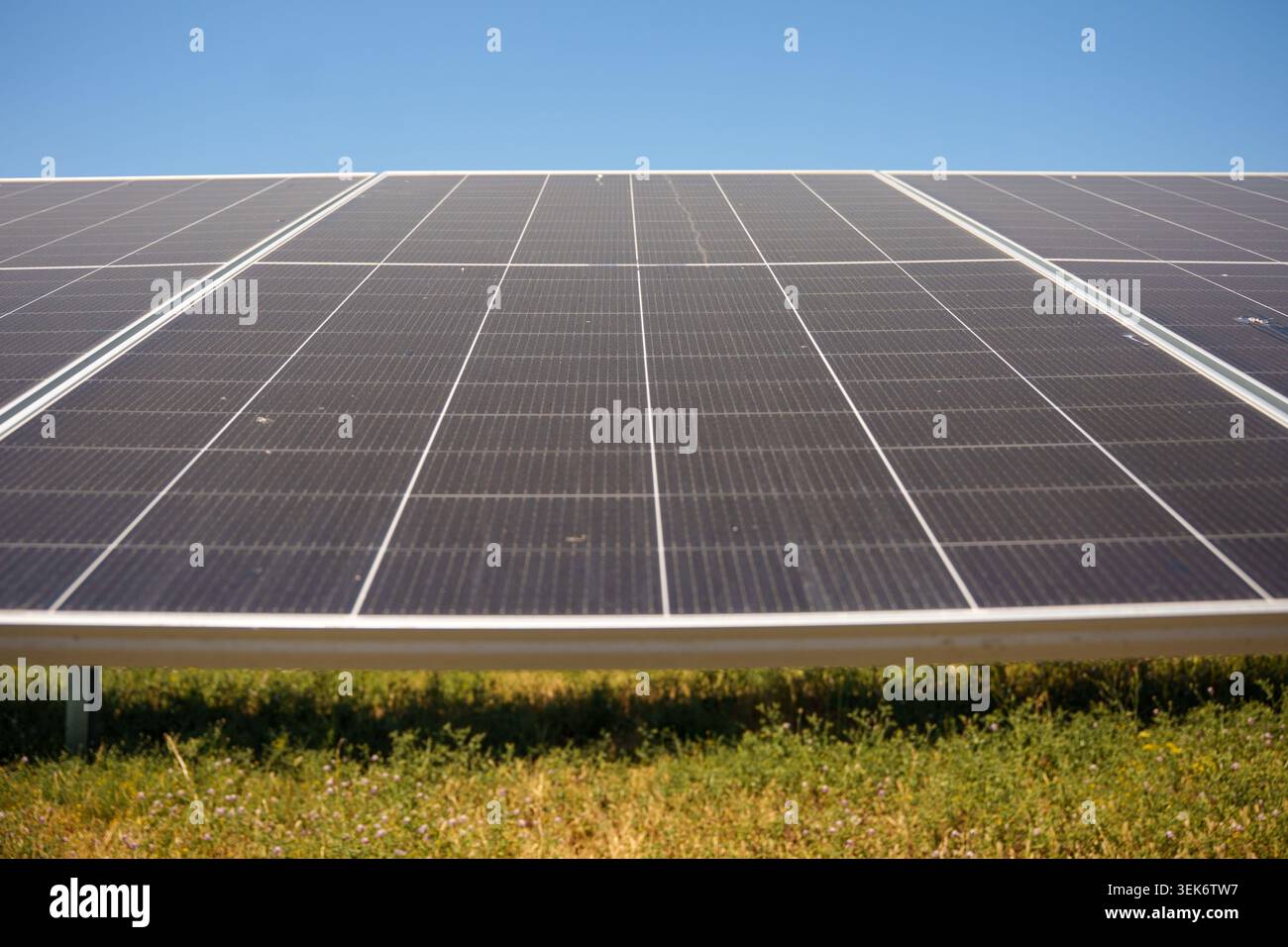 Image of Recurrent Energy's Rey Solar photovoltaic plant in Carmona ...