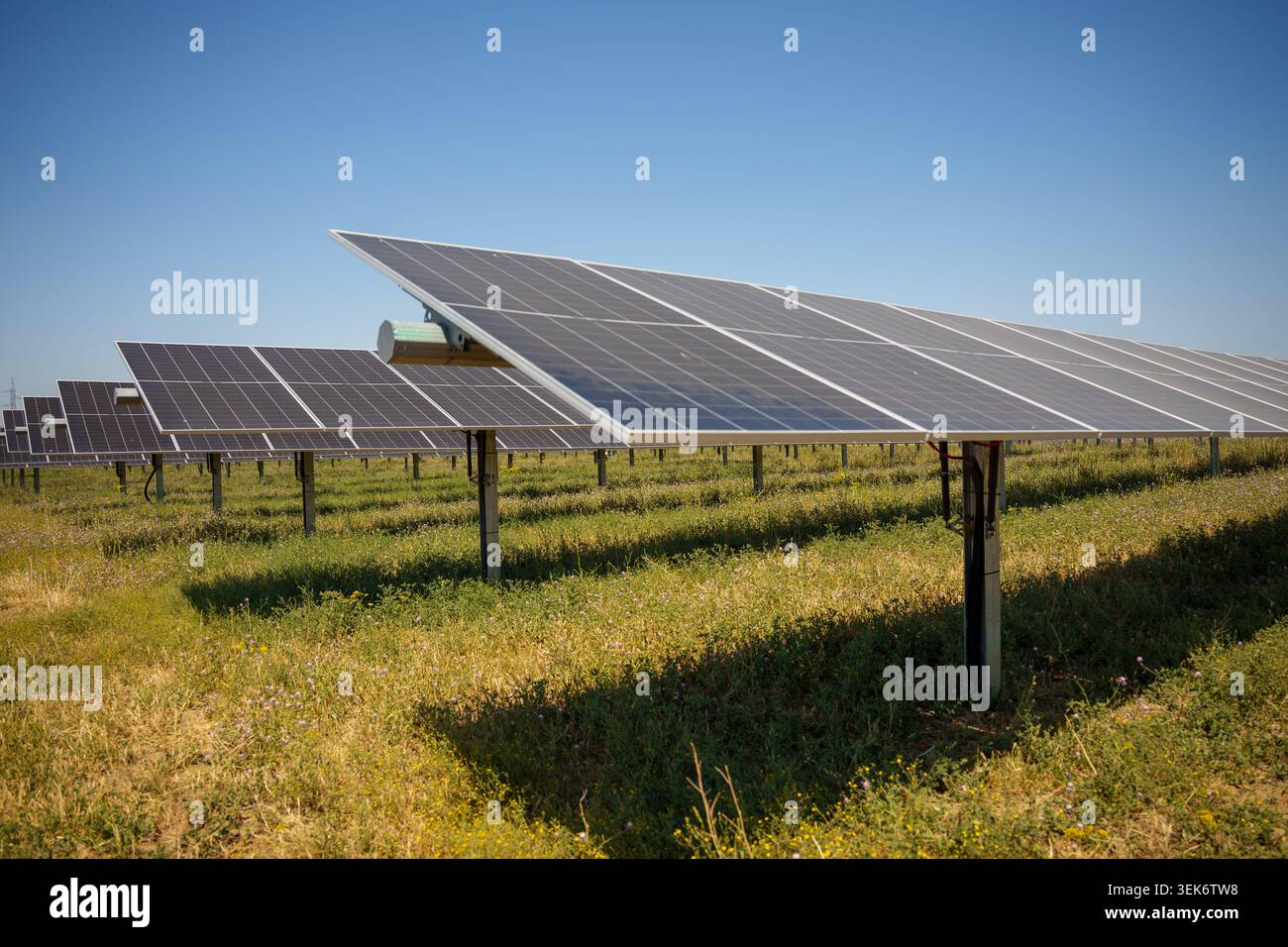 Image of Recurrent Energy's Rey Solar photovoltaic plant in Carmona ...