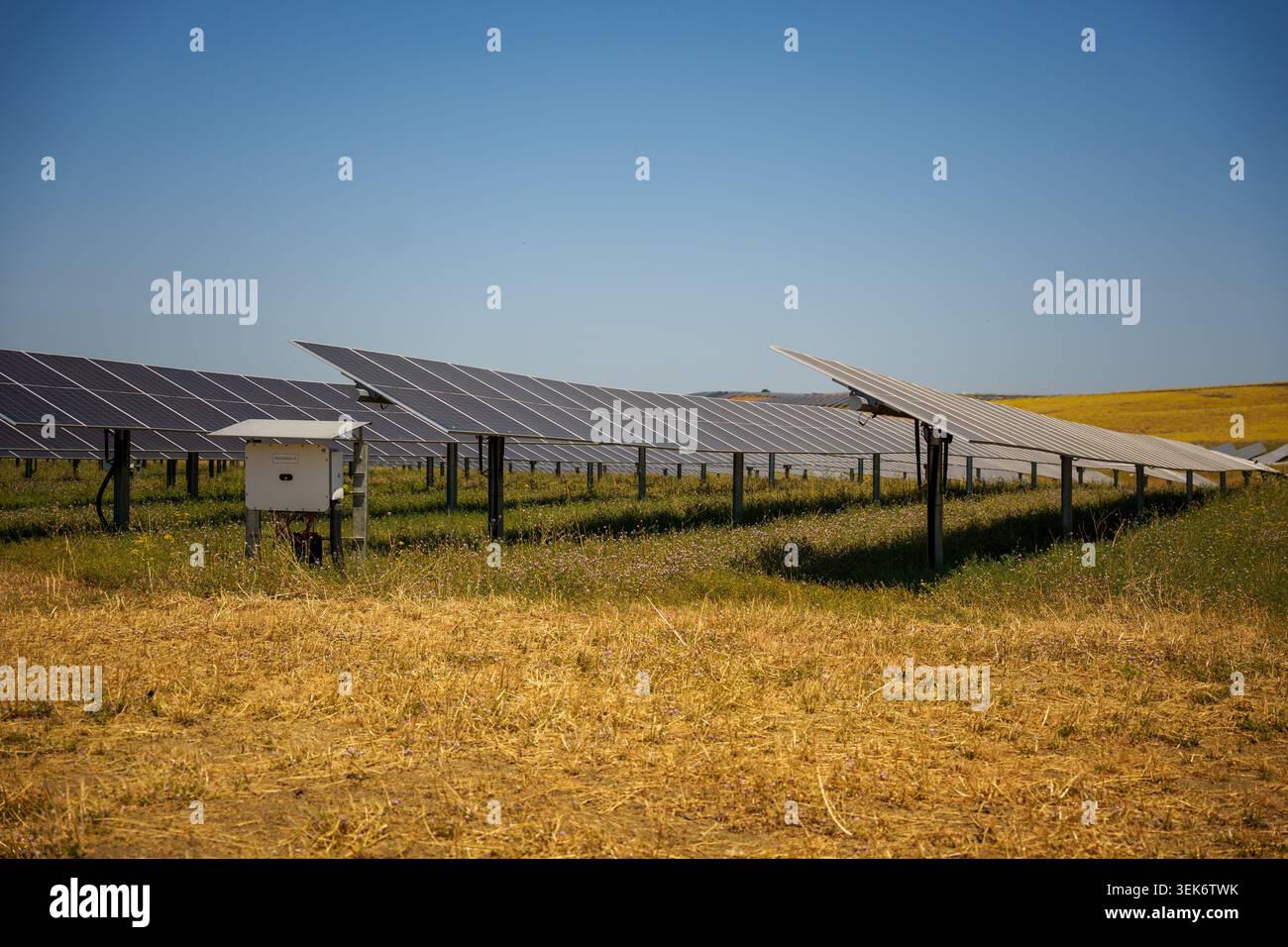 Image of Recurrent Energy's Rey Solar photovoltaic plant in Carmona ...