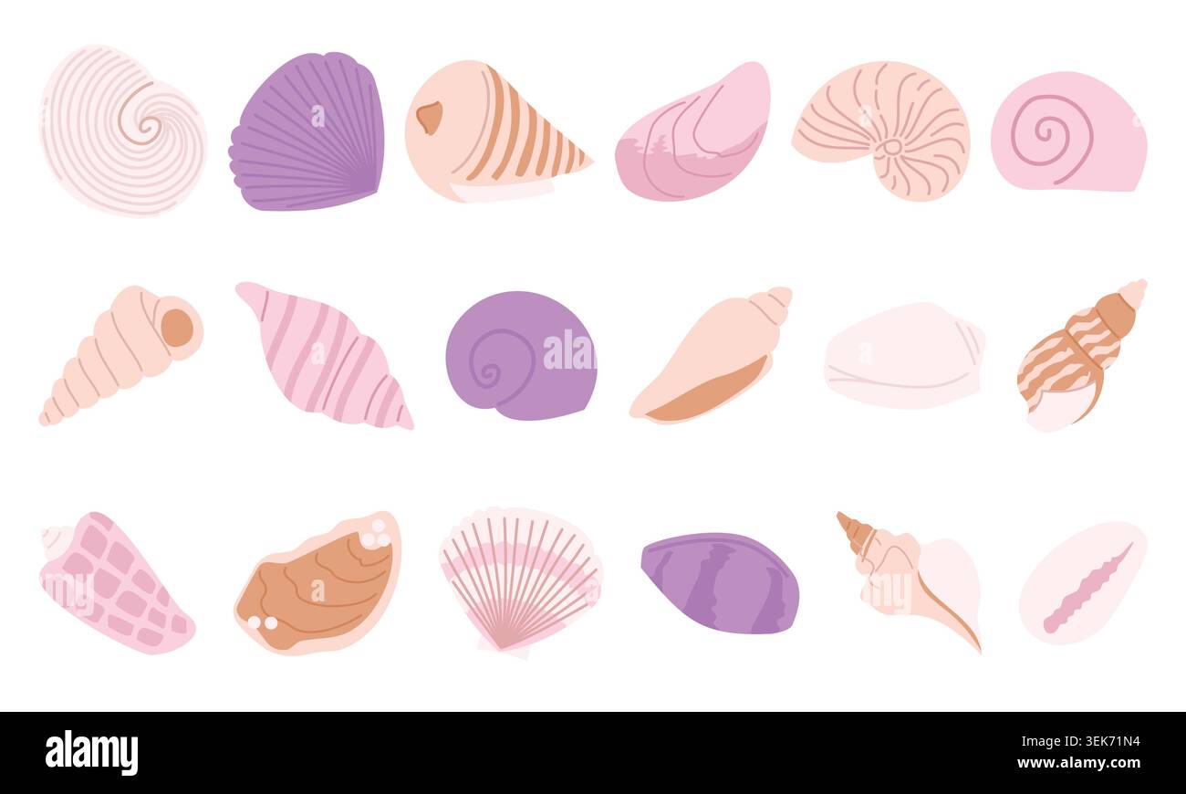 Seashells collection set Stock Vector