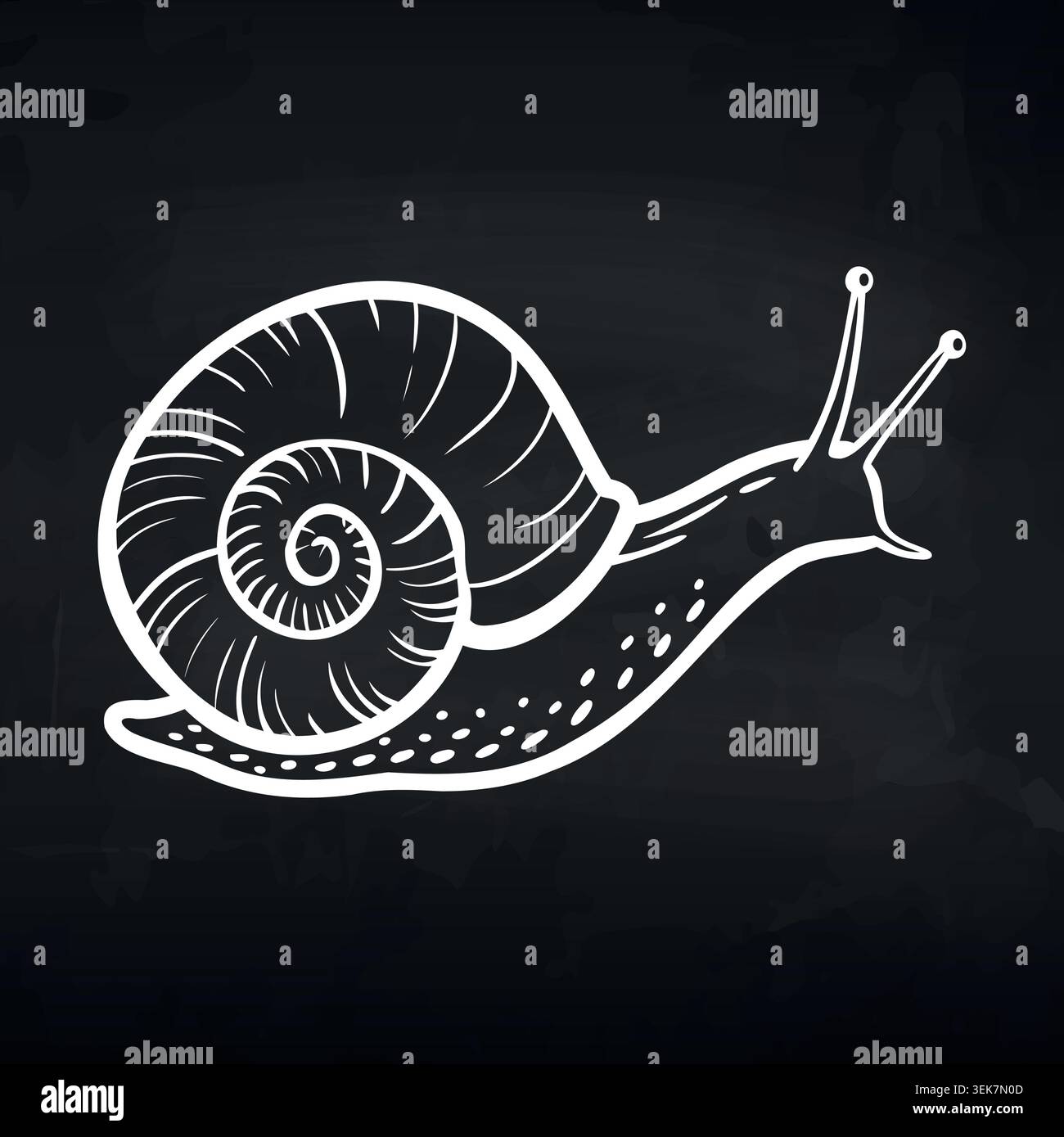 Black and white illustration of a snail with a spiraled shell and ...