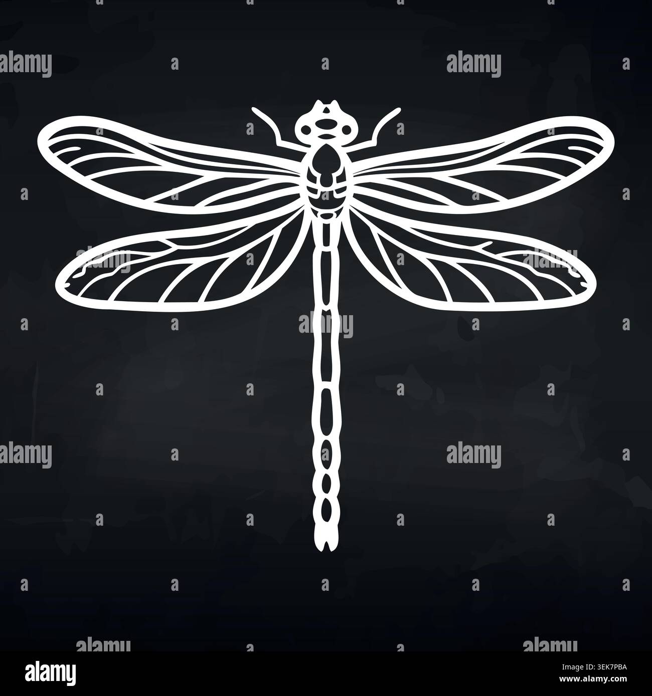 White outline illustration of a dragonfly on a black background, showcasing intricate wing patterns and body details in a minimalist design style Stock Vector