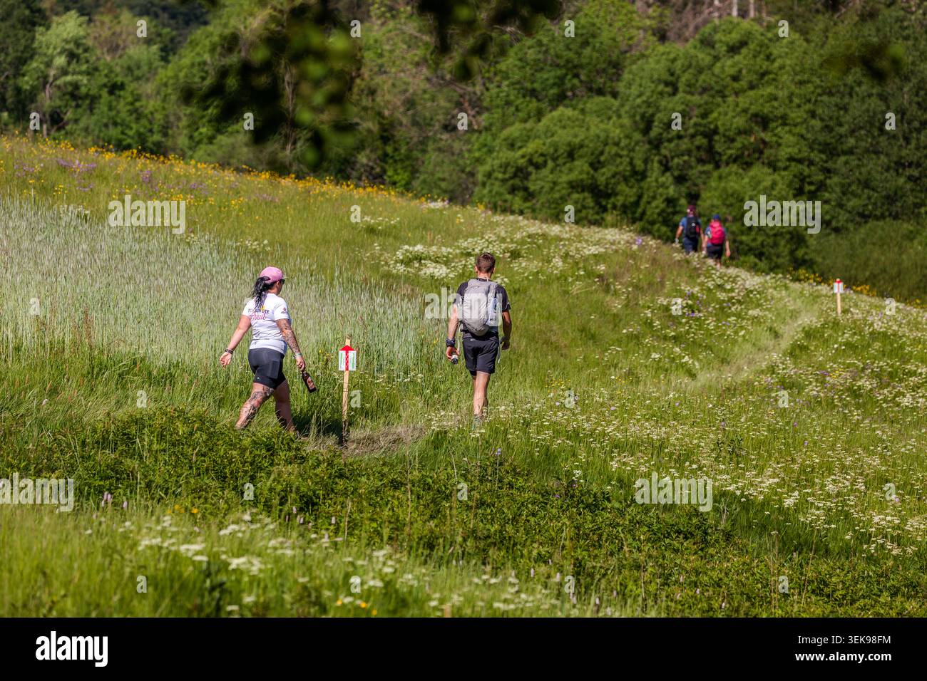 A bride and a hiker are walking along a path through a flower-filled meadow towards the Aumühle in Steinbach am Wald, Bavaria, Germany Stock Photo