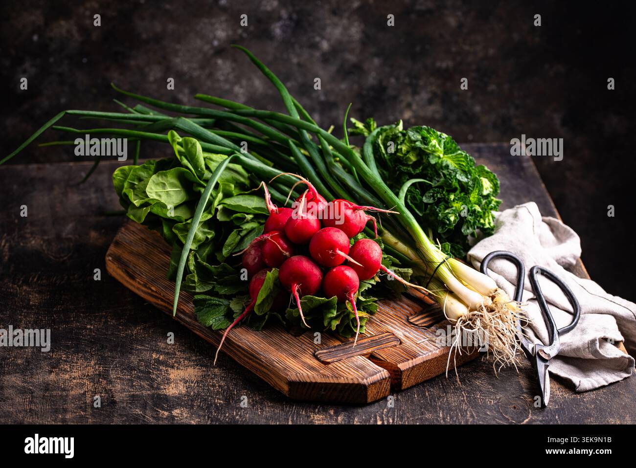 Radish, onion and herbs, spring greens concept Stock Photo