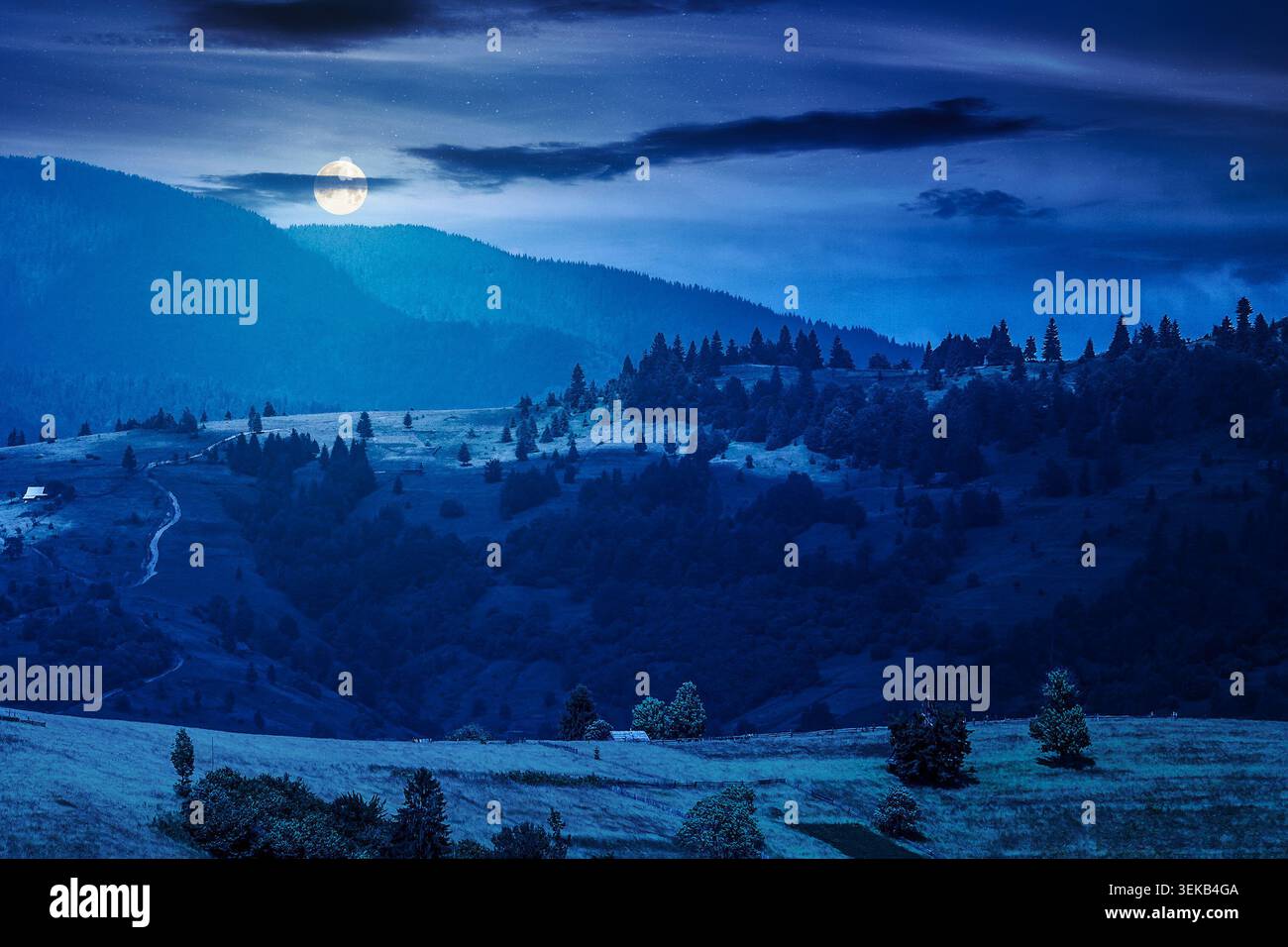 agricultural field on hillside in mountains near village at night. summer full moon. green carpathian mountain landscape. narrow view. remote alpine f Stock Photo