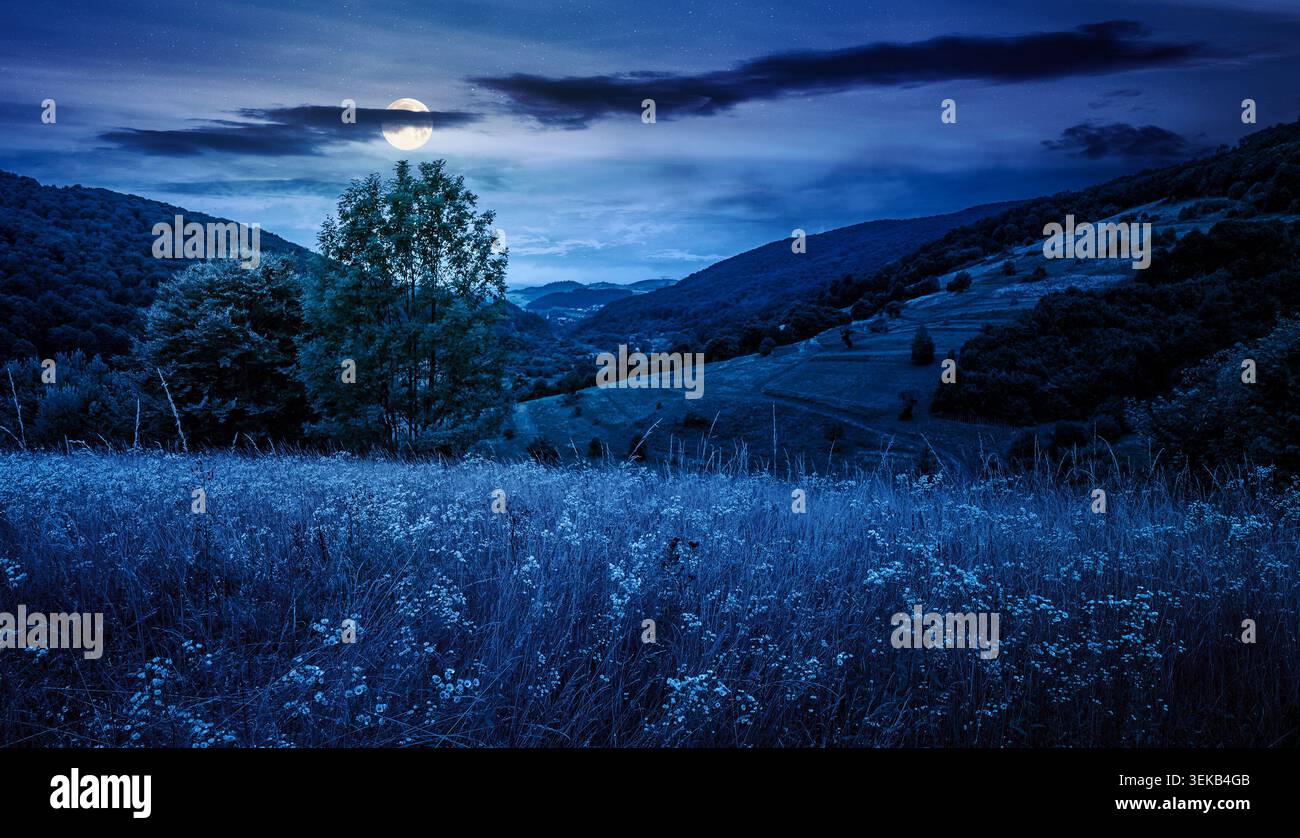 rural field on the hill at night. view in to the valley. countryside mountain landscape. full moon over alpine pasture near forested hills. inner stre Stock Photo