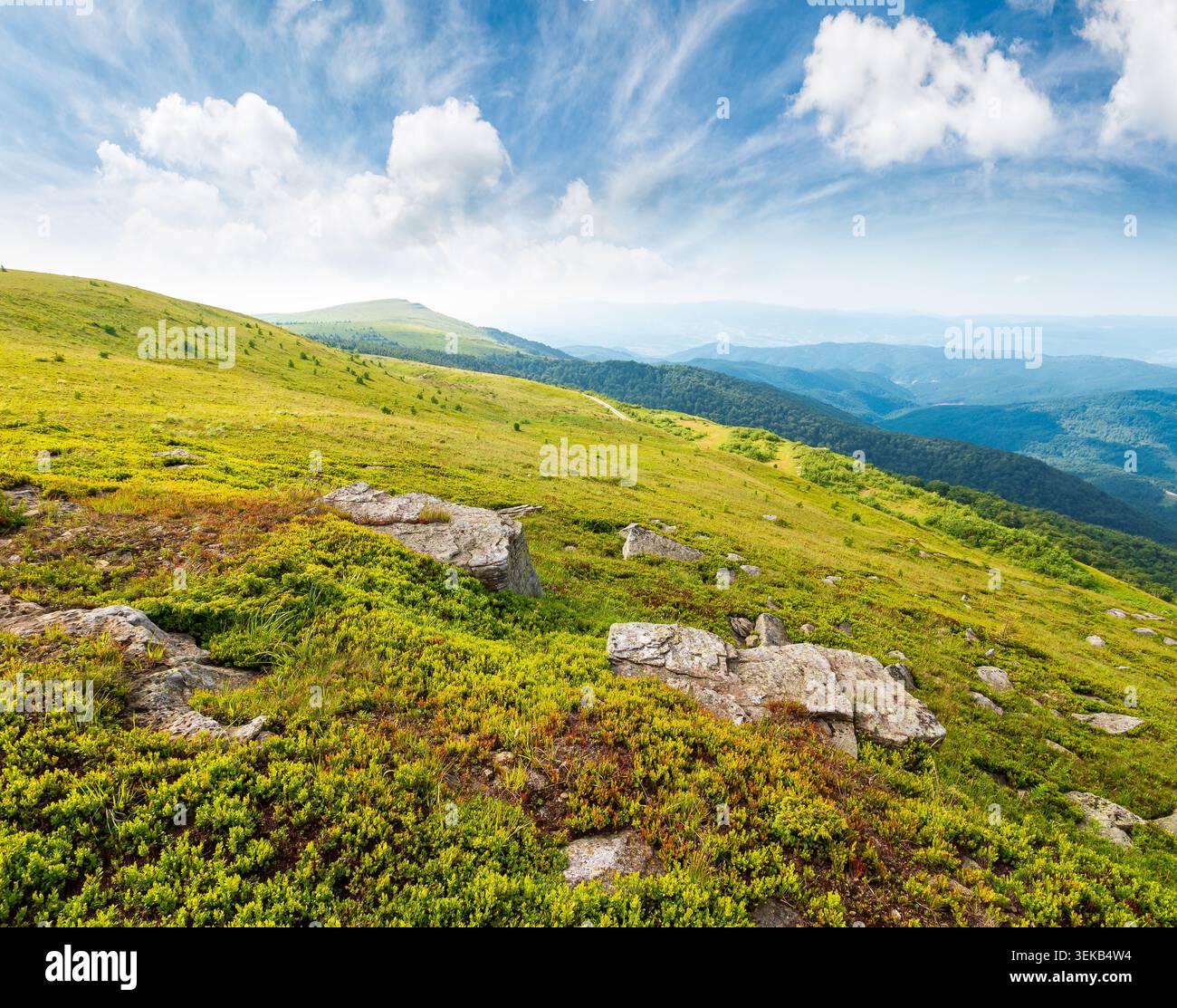 mountain summer landscape. meadow with giant stones among the grass on the hillside. awe view near the peak of mountain smooth in morning dappled ligh Stock Photo