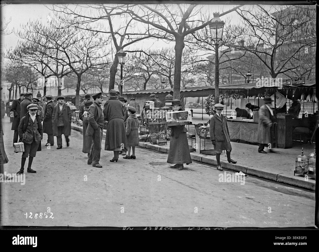 This 1928 press photograph records the bird market at Place Louis Lépine and Quai de Corse on Île de la Cité in Paris. The scene centres on the sale of birds within a long-established commercial market in the city centre. Stock Photo