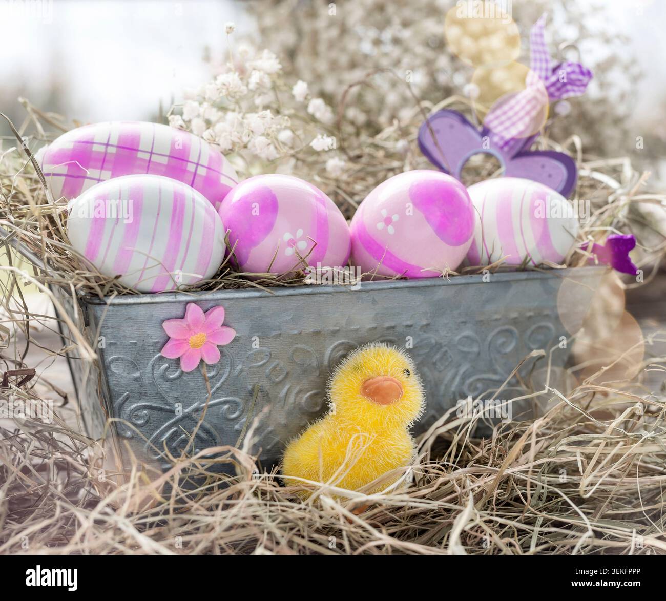 Easter decorations, pink Easter eggs in a flower box with Easterchick Stock Photo