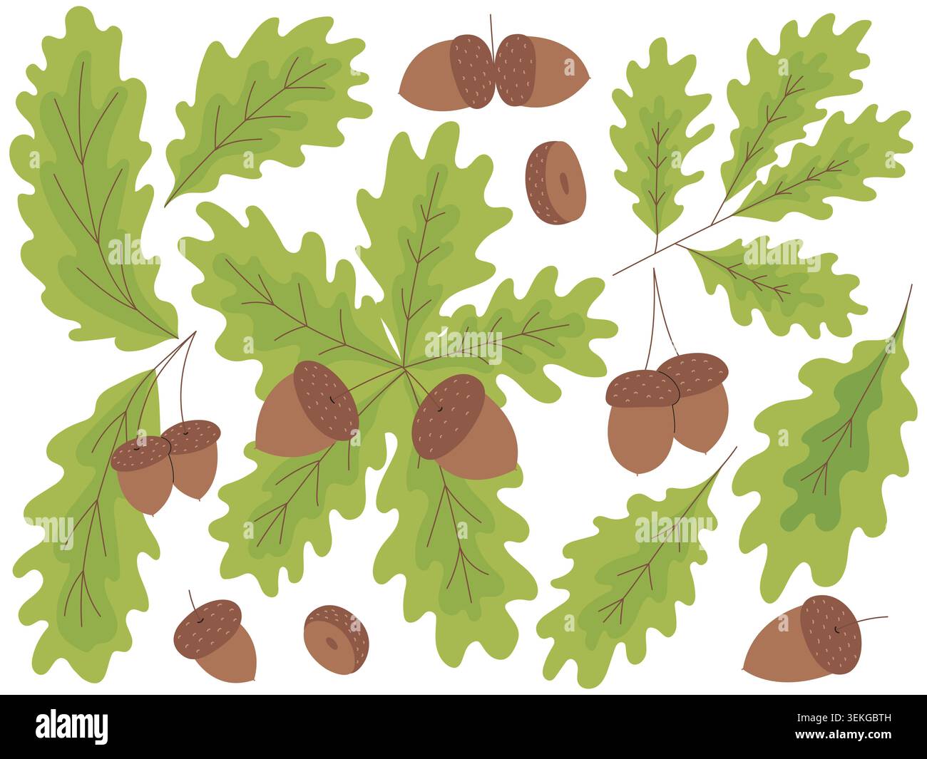 Oak leaves and acorns flat set Stock Vector