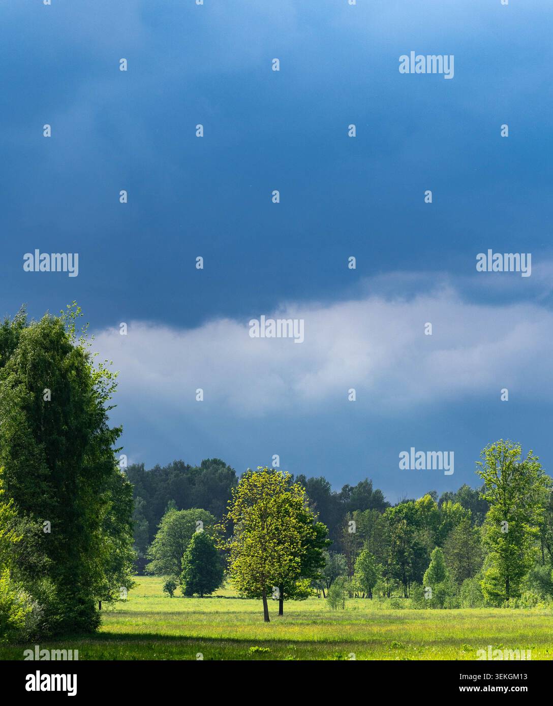 Threatening sky above green rural fields and trees Stock Photo
