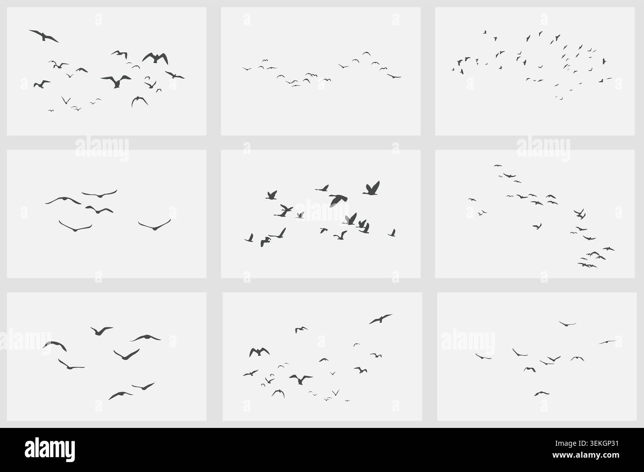 Set of flying bird silhouettes in different flock arrangements and ...