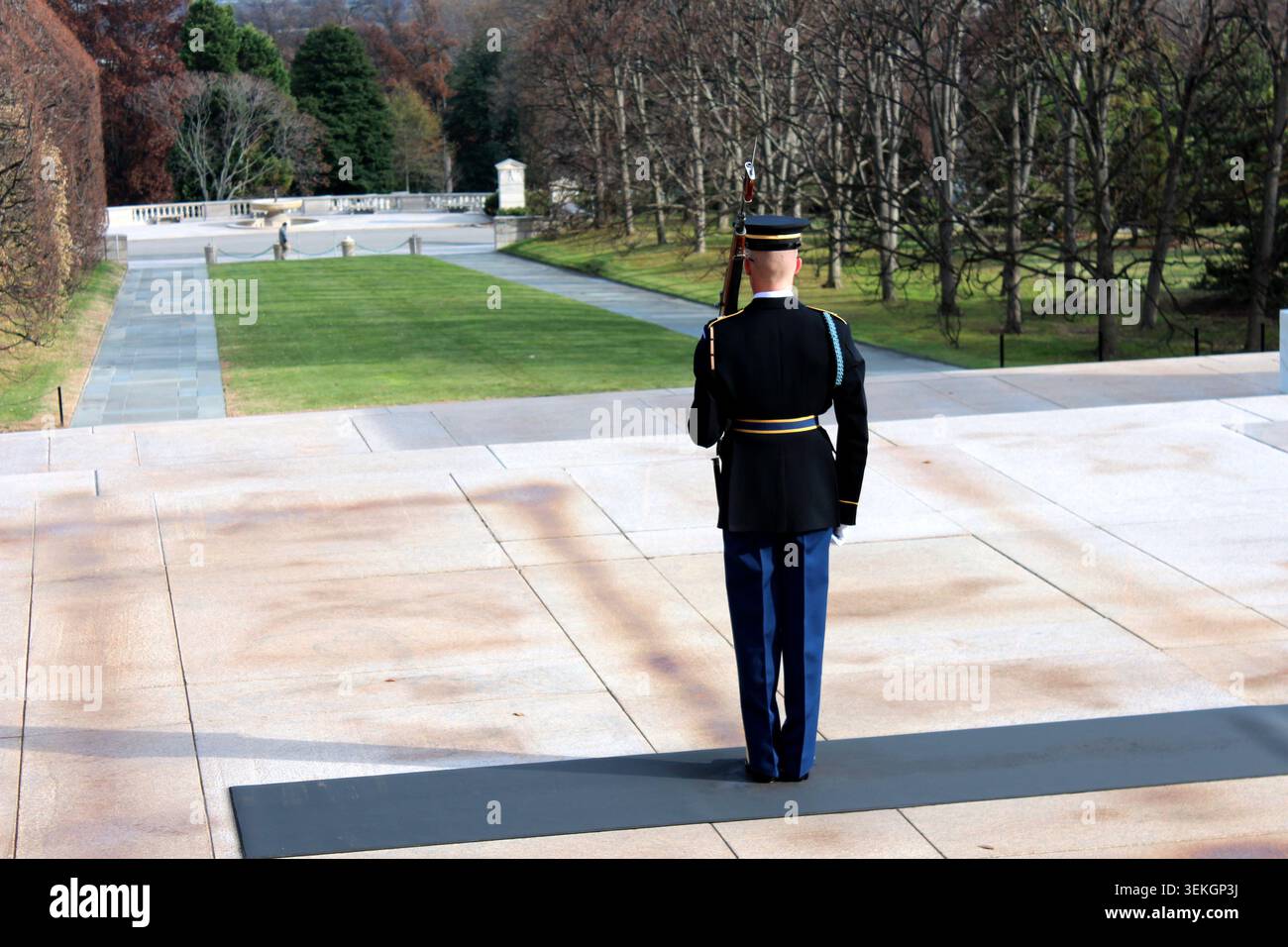 Sentinel Standing Guarddefinition Rear view of a solitary United States Army sentinel standing guard at ...