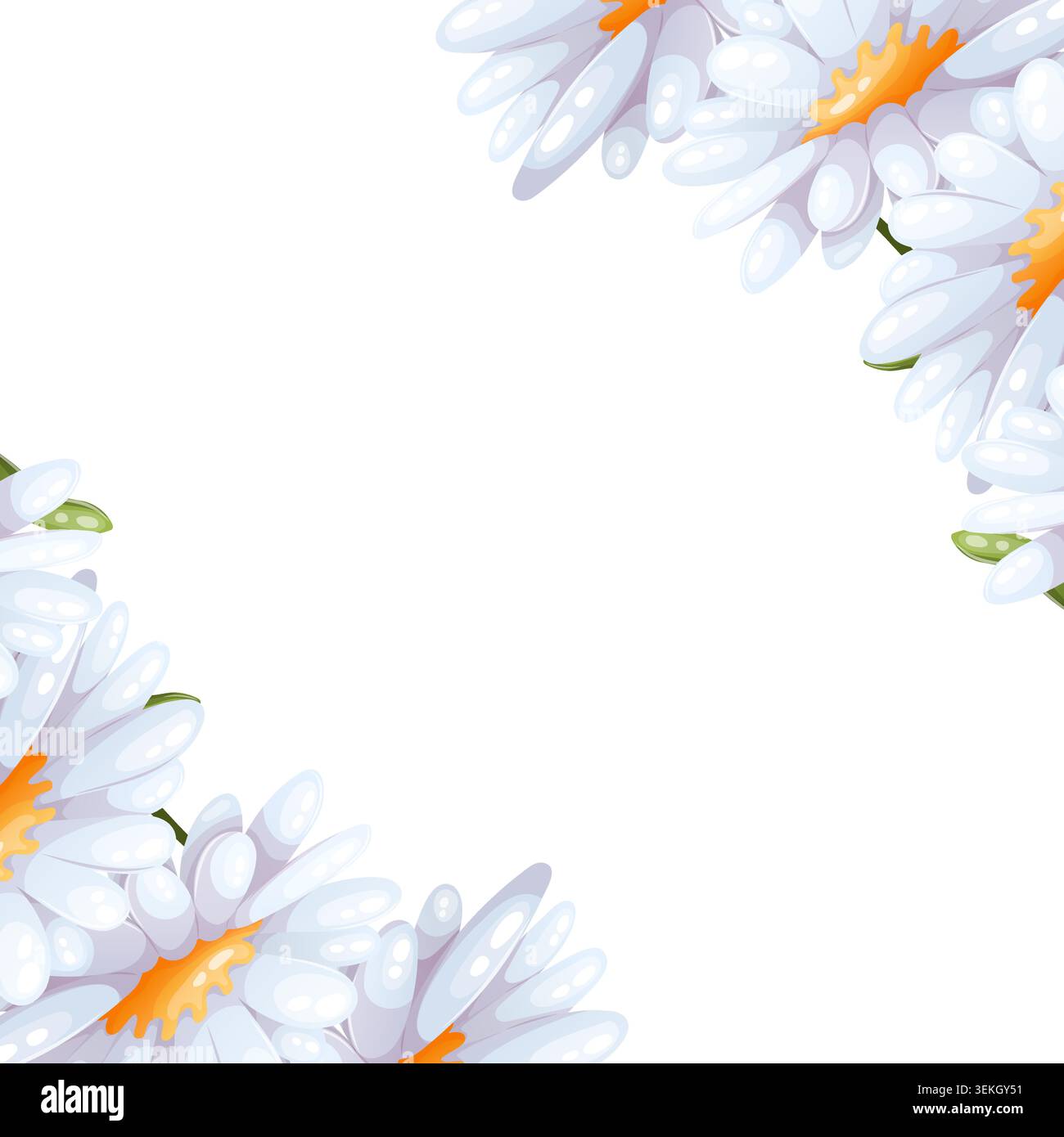 Vector diagonal frame with daisies Stock Vector