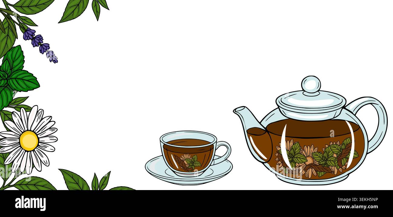 Herbal tea vector banner with chamomile, mint, and lavender Stock Vector