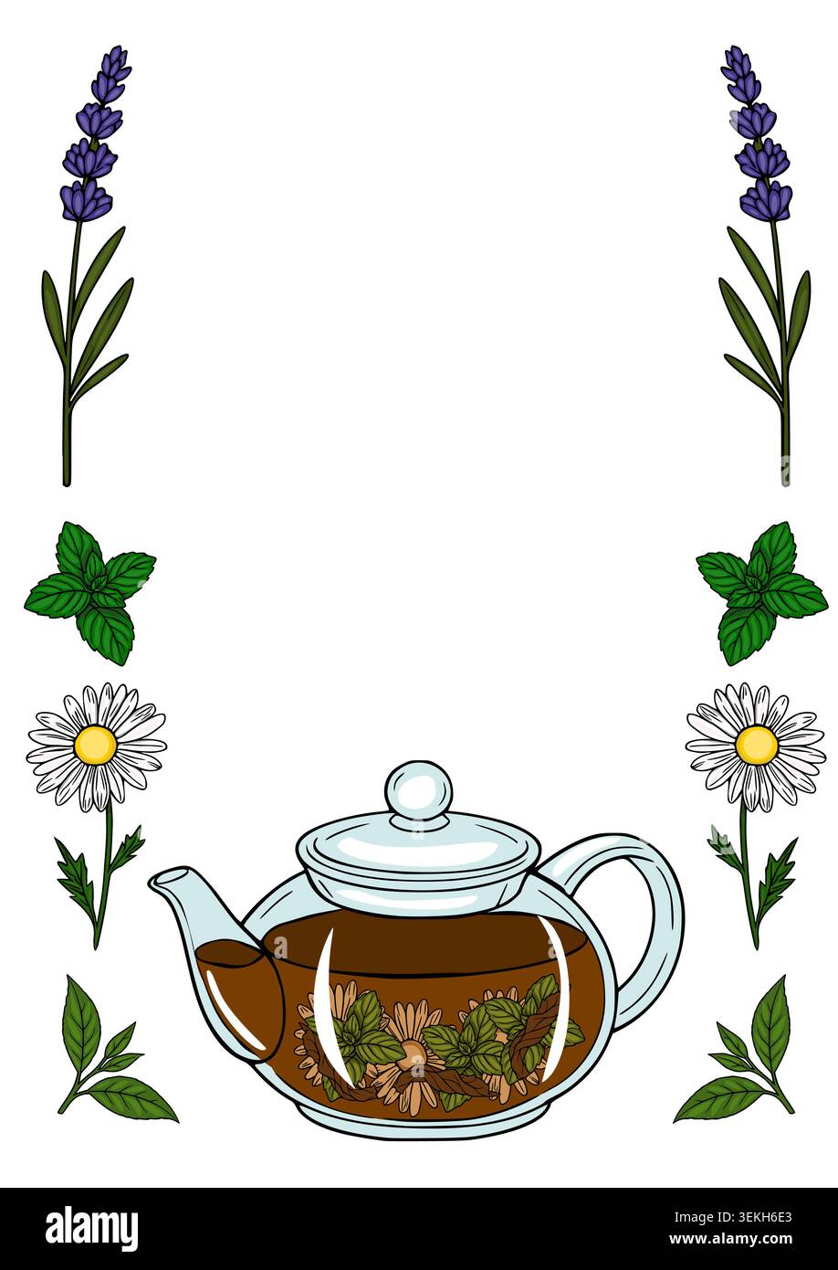 Herbal tea vector poster with chamomile, lavender, and mint elements Stock Vector