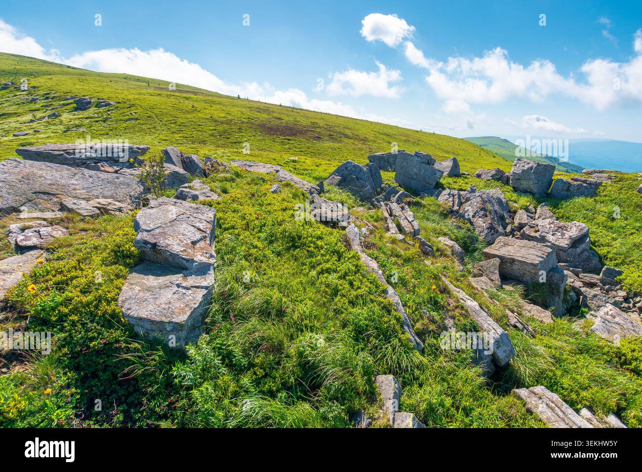 alpine grassy meadow. carpathian mountains landscape with huge boulders. alpine nature scenery of ukraine highlands in summer. view of remote place in Stock Photo