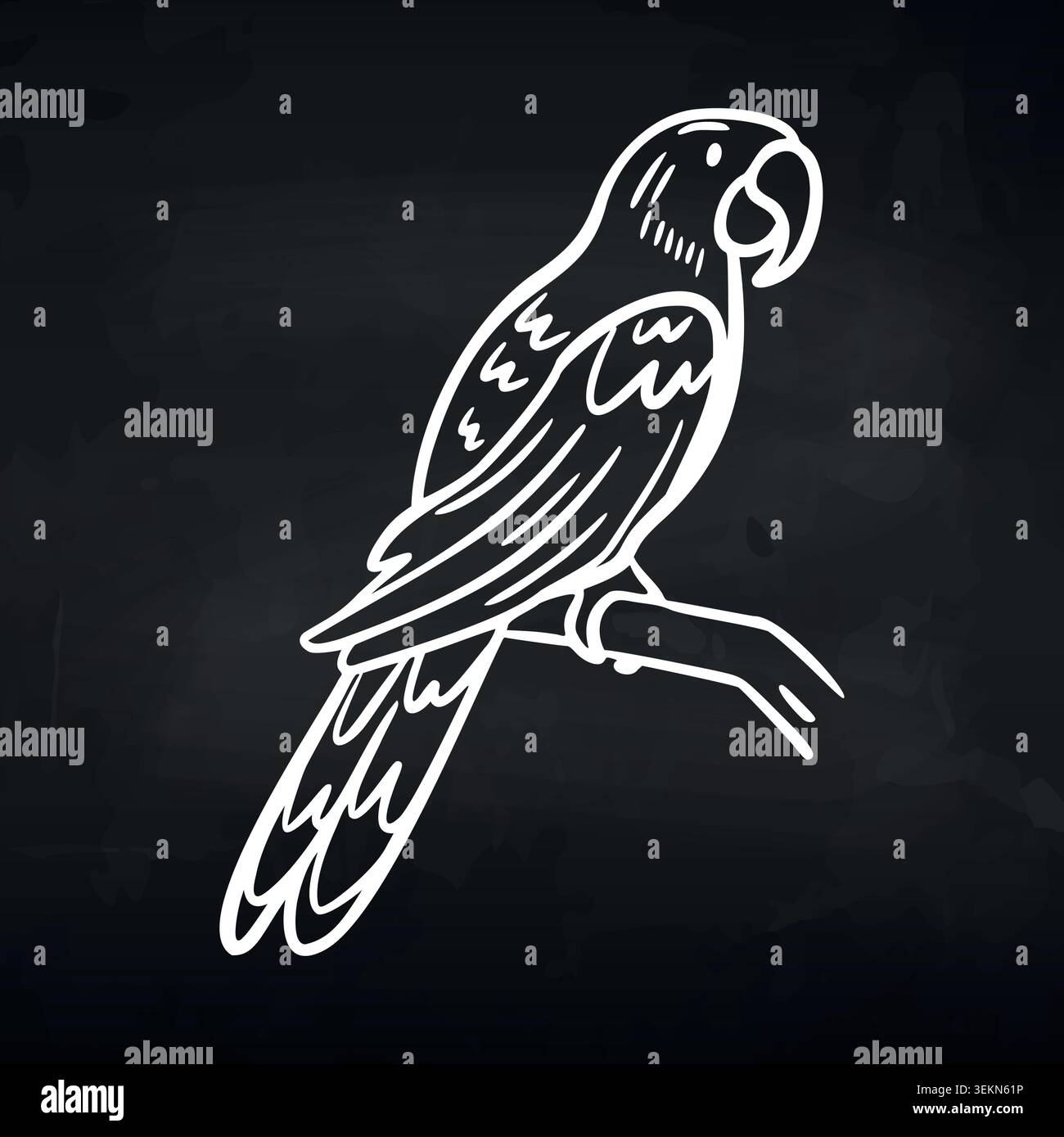 Illustration of a parrot perched on a branch with detailed feathers and a curved beak against a dark background, showcasing its distinctive features Stock Vector