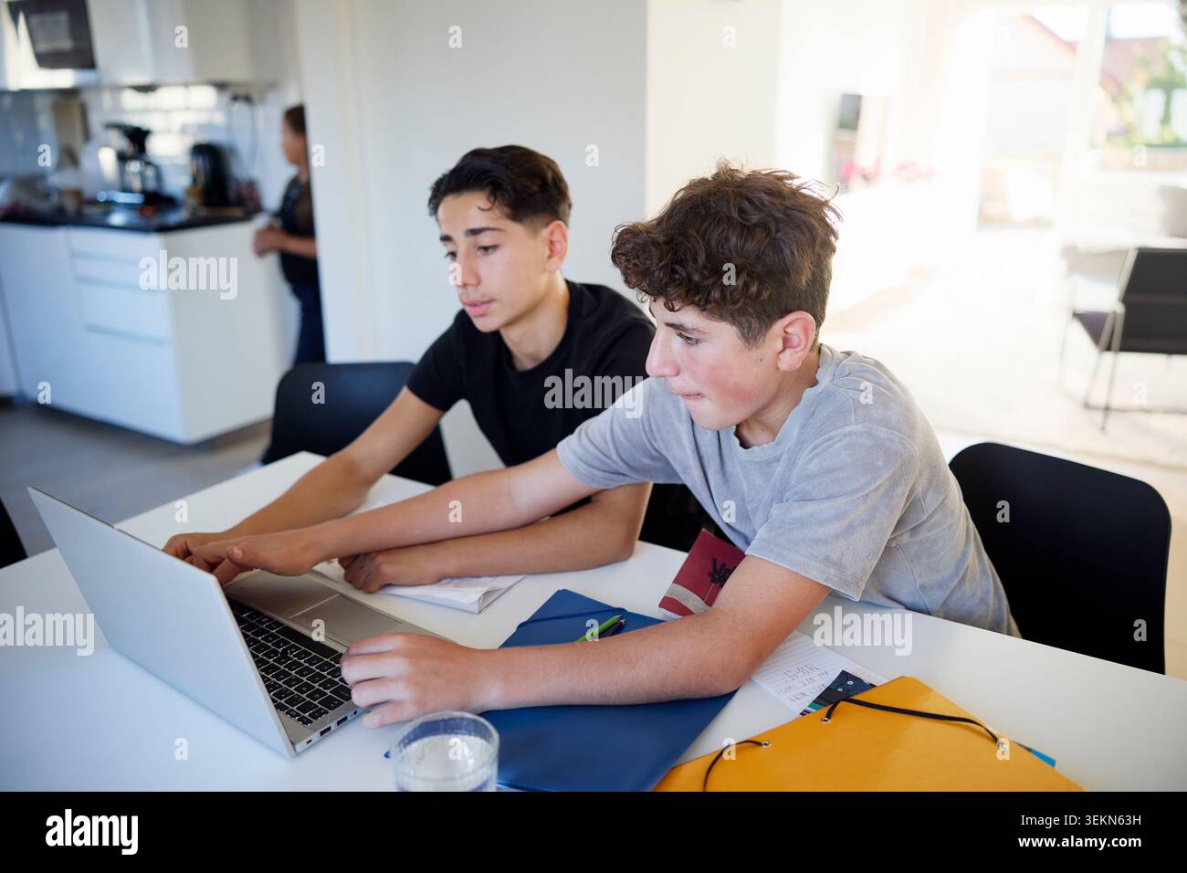 Boys studying through laptop at home Stock Photo