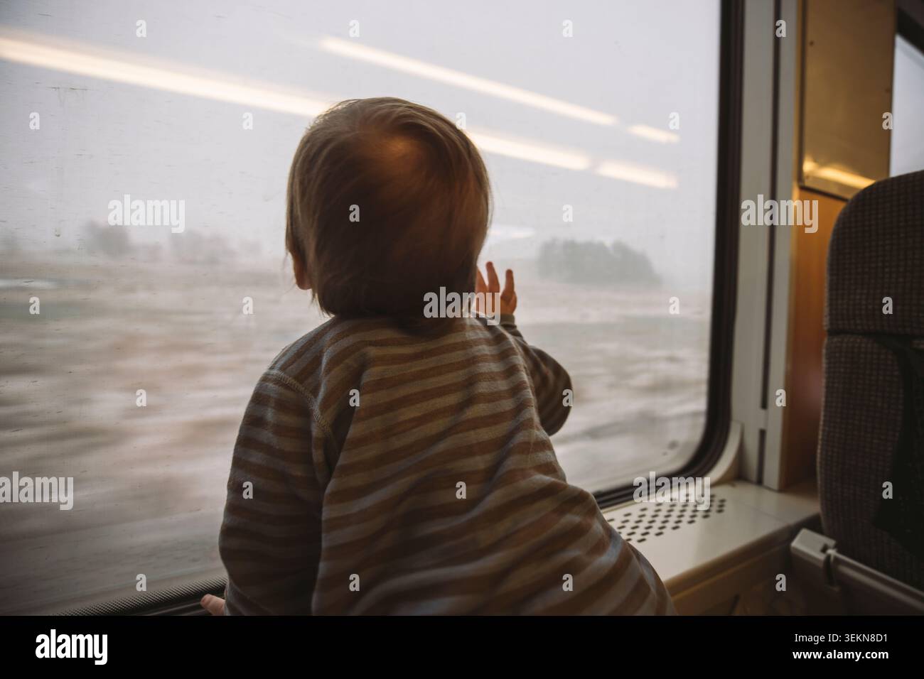 Rear view of boy looking through train window Stock Photo