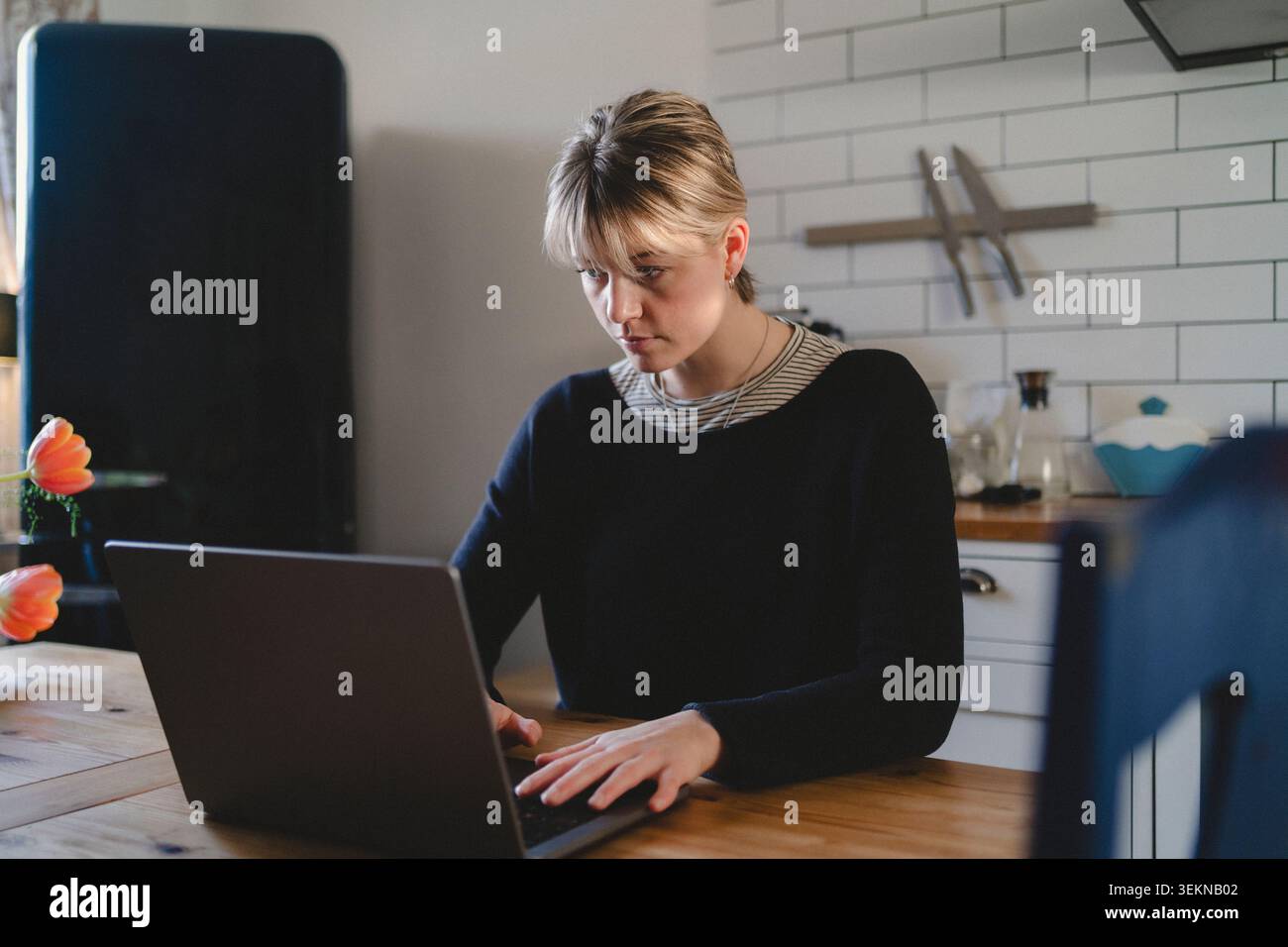 Focused female freelancer using laptop while working at home Stock Photo