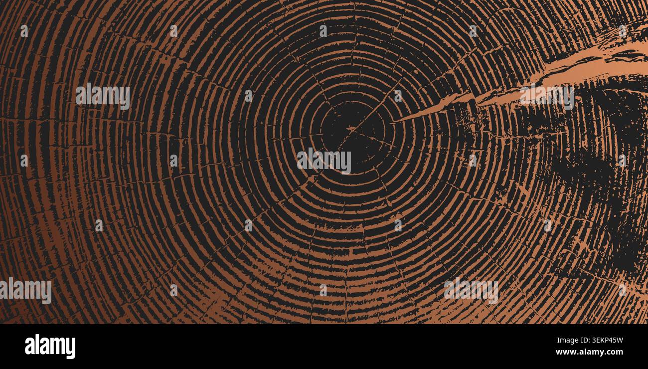 Tree ring pattern showcasing natural wooden texture vector illustration background. Stock Vector