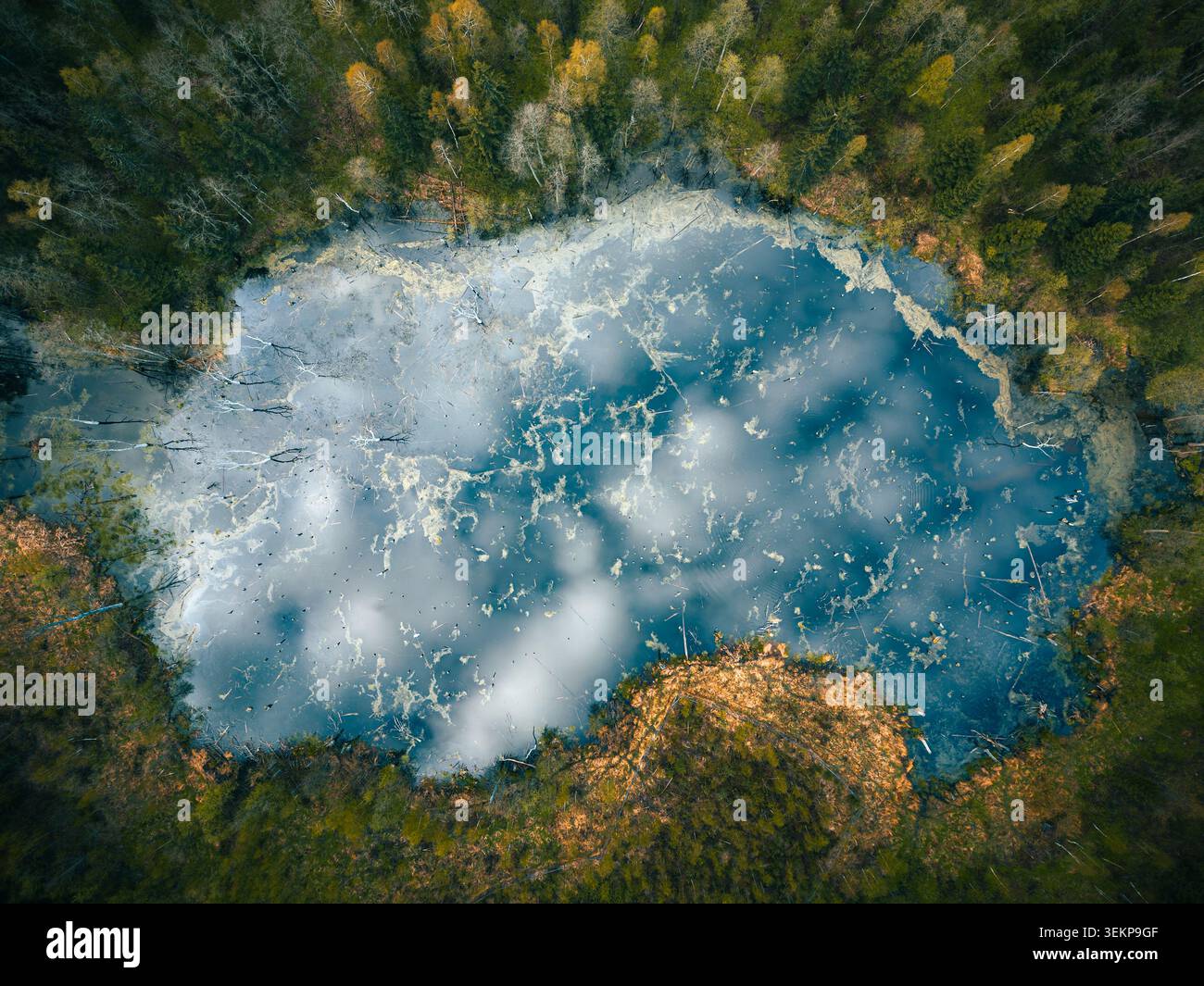 Aerial view of a small forest lake with white clouds reflected in the ...