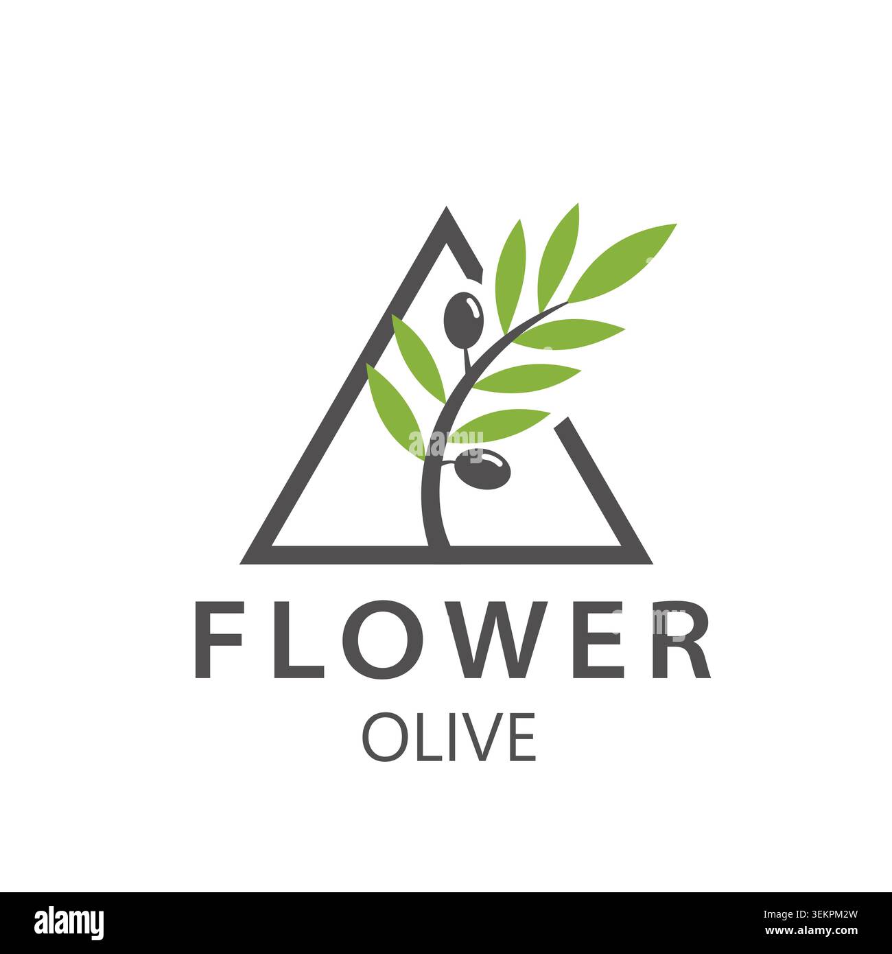 Olive Branch in Triangle Frame Logo Stock Vector