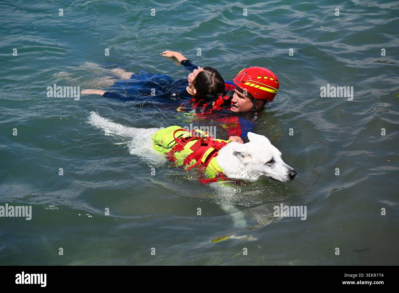 Water Rescue presents a rescue drill with a specially trained water rescue dog. Rescuer and ...