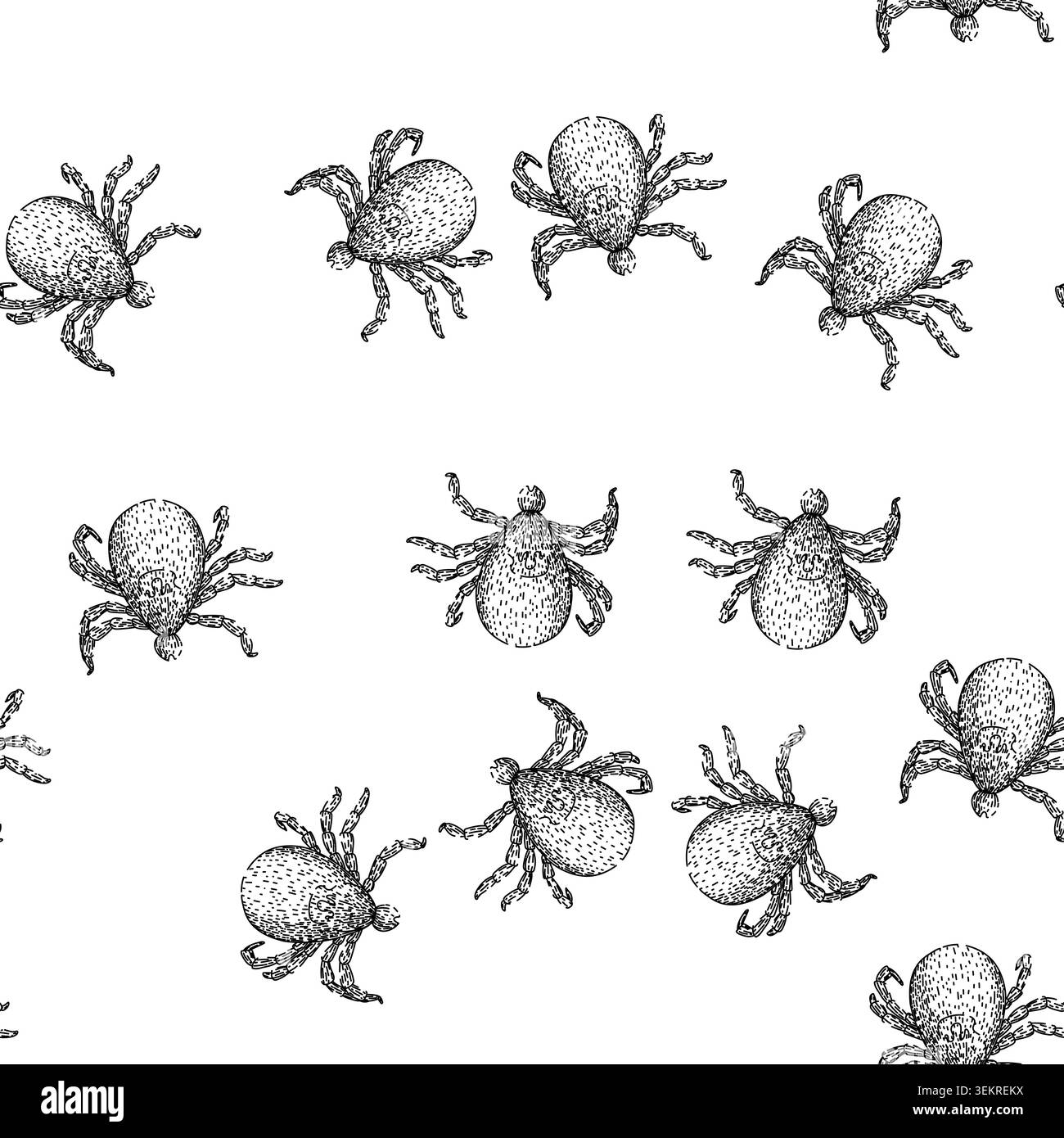 seamless pattern bite tick sketch hand drawn Stock Vector
