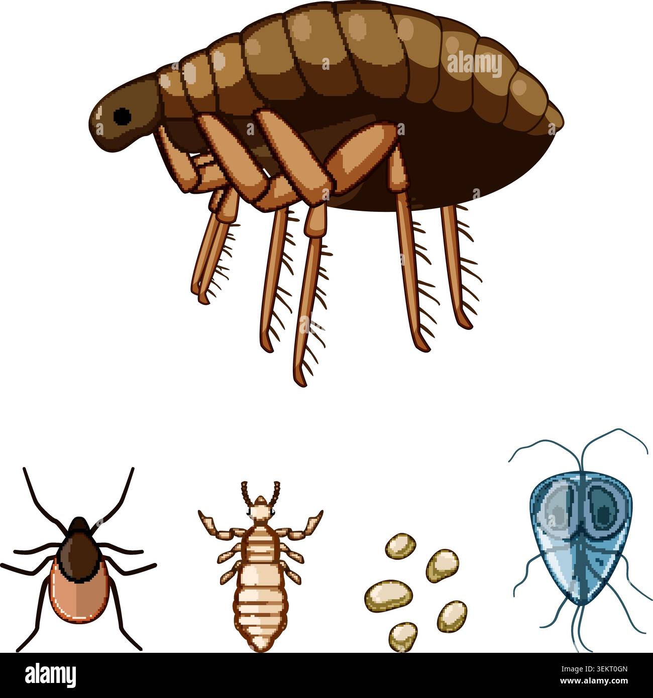 Parasites, insects, ticks and their larvae collection Stock Vector