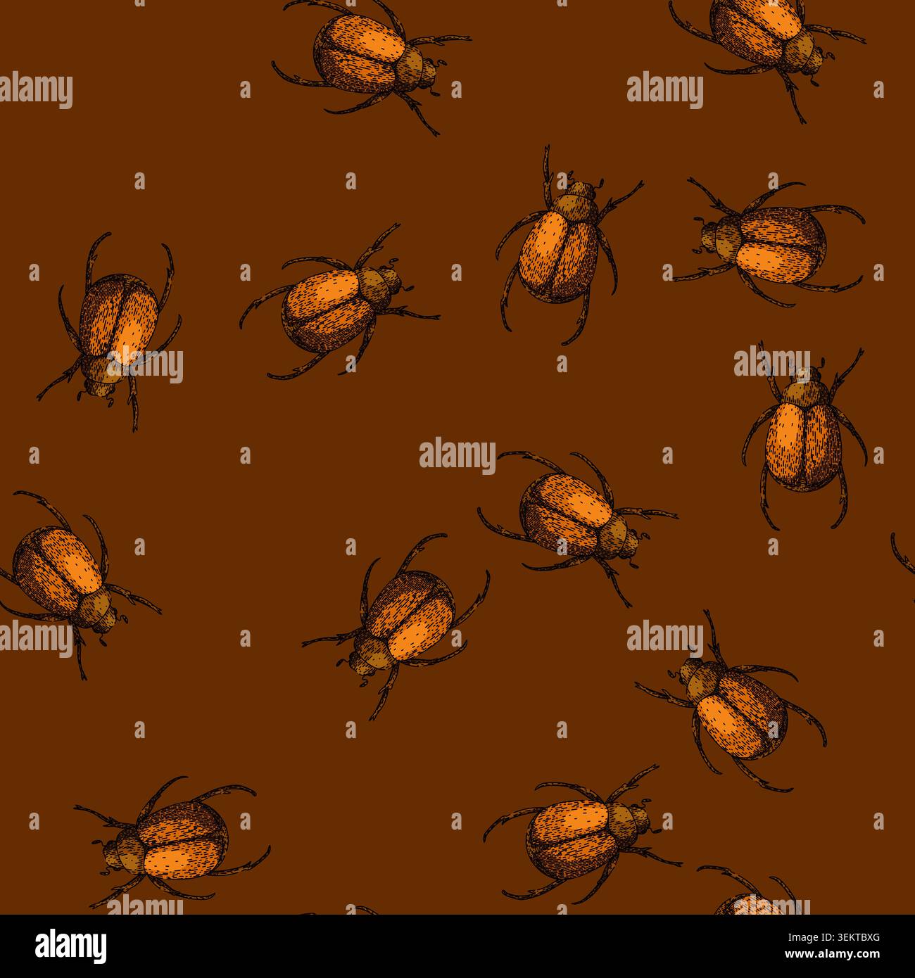 pattern lawn chafer sketch hand drawn Stock Vector