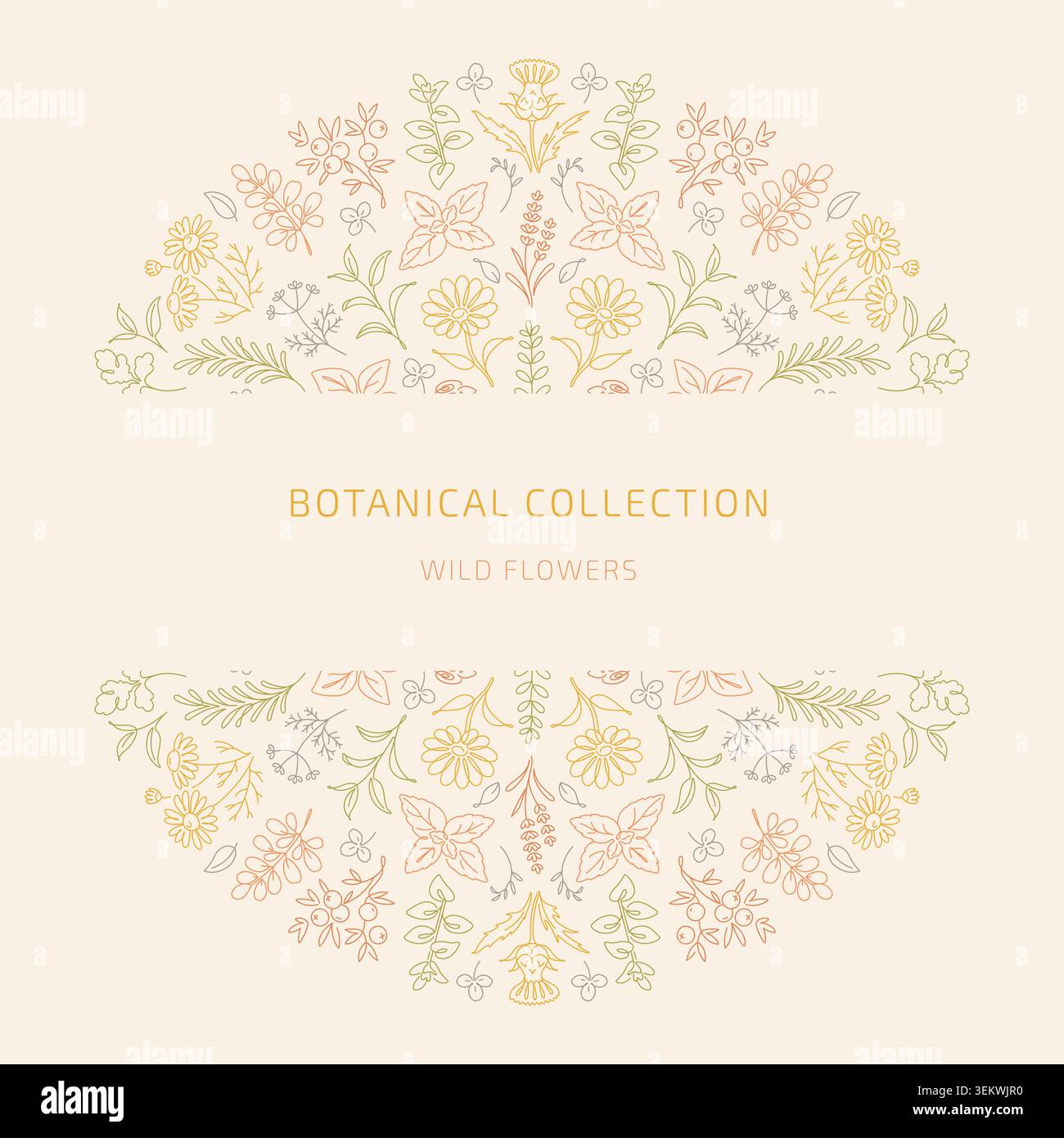 Delicate Wild Flowers Botanical Collection Frame Stock Vector