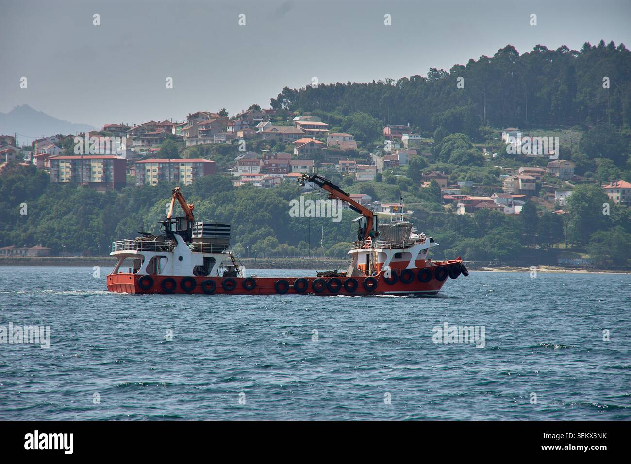 A striking orange mussel boat harvests shellfish while moored alongside ...