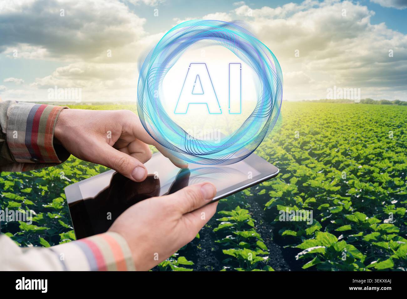 Farmer uses Artificial Intelligence for data analysing. Smart farming concept. Stock Photo