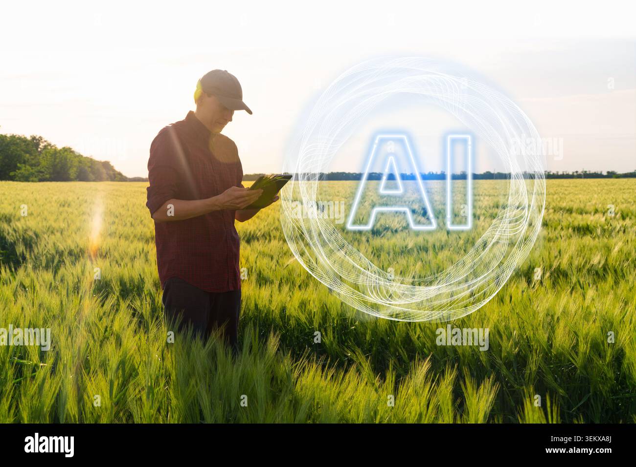 Farmer uses Artificial Intelligence for data analysing. Smart farming concept. Stock Photo