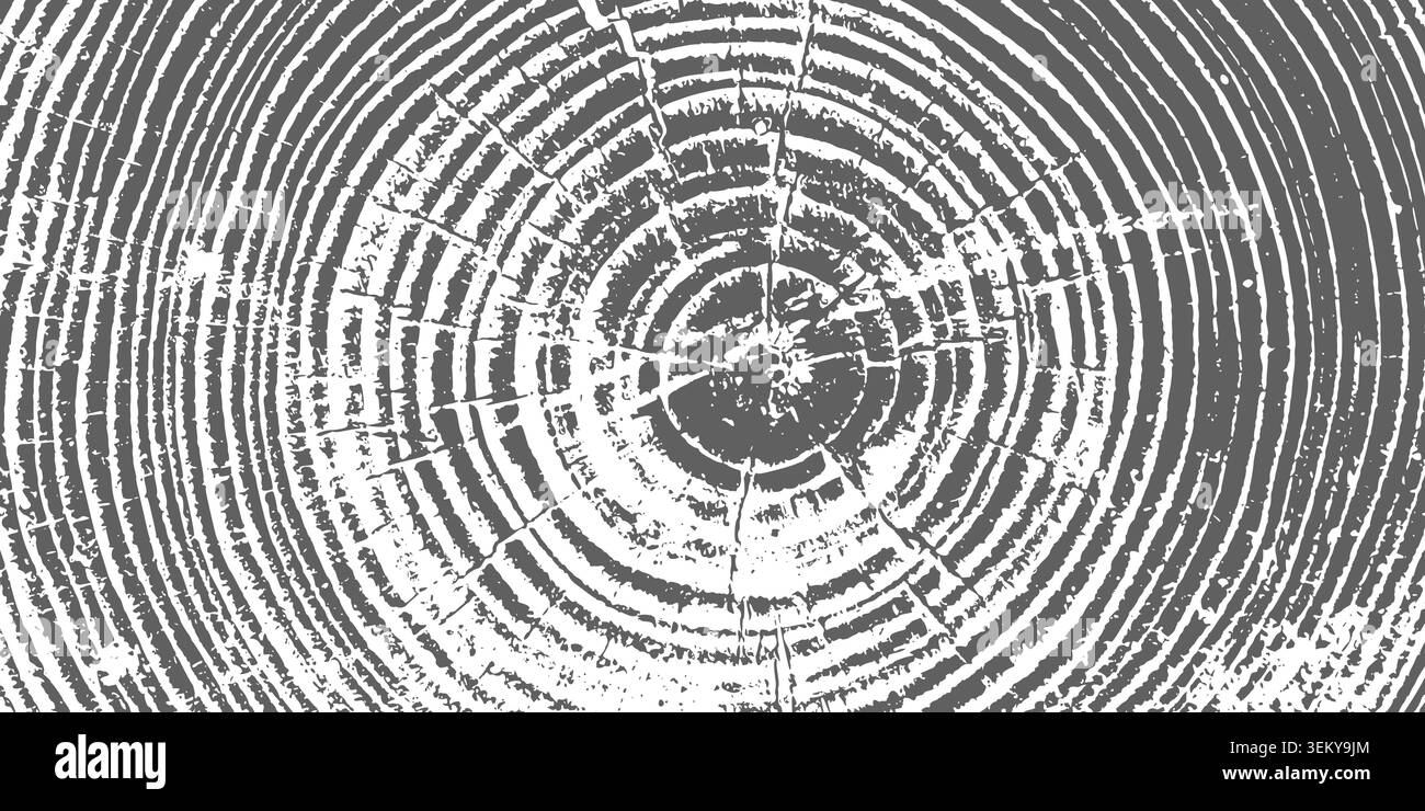 Tree ring pattern showcasing natural wooden texture vector illustration background. Stock Vector