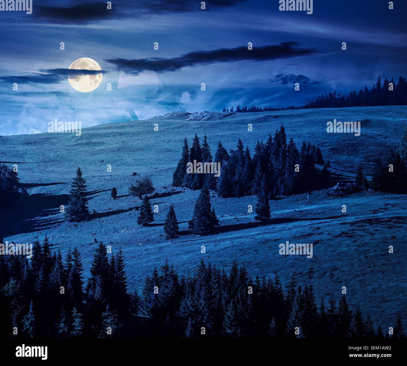 hillside of mountain range with coniferous forest and meadow at night. full moon over mysterious view of a grassy meadow on steep hill. nature backgro Stock Photo
