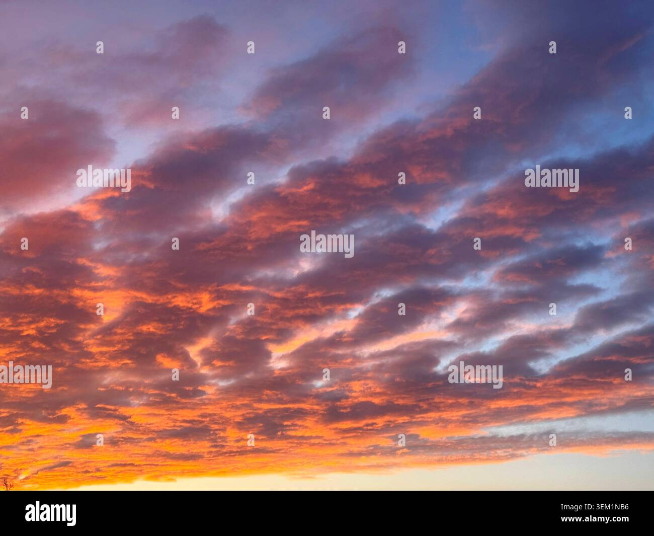 Fiery sunset sky clouds altocumulus undulatus Stock Photo