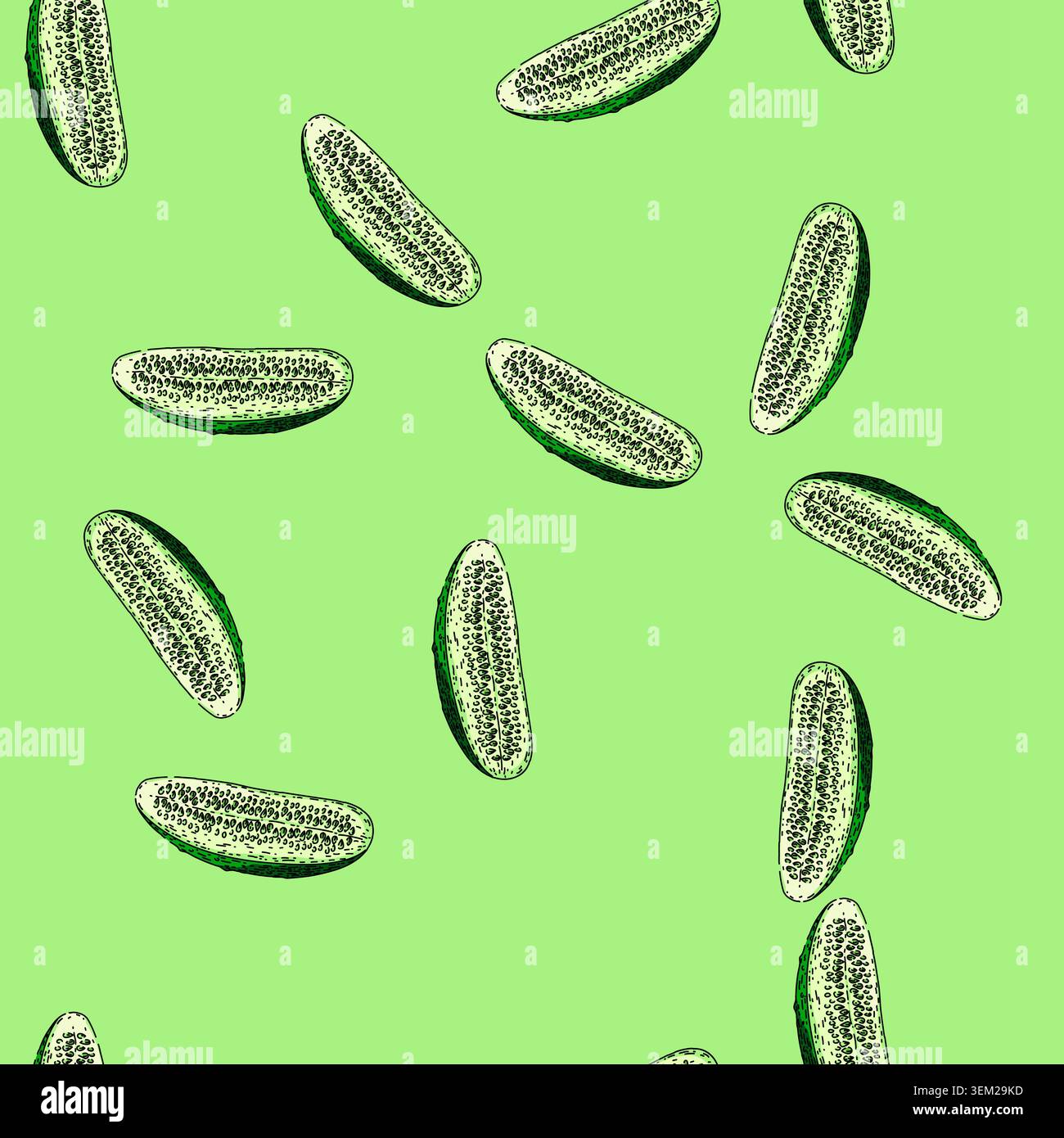 pattern cucumber cut sketch hand drawn Stock Vector
