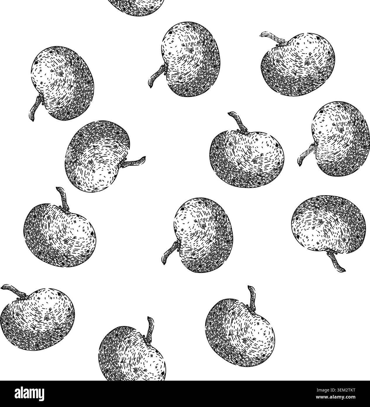 seamless pattern asian longan fruit sketch hand drawn Stock Vector