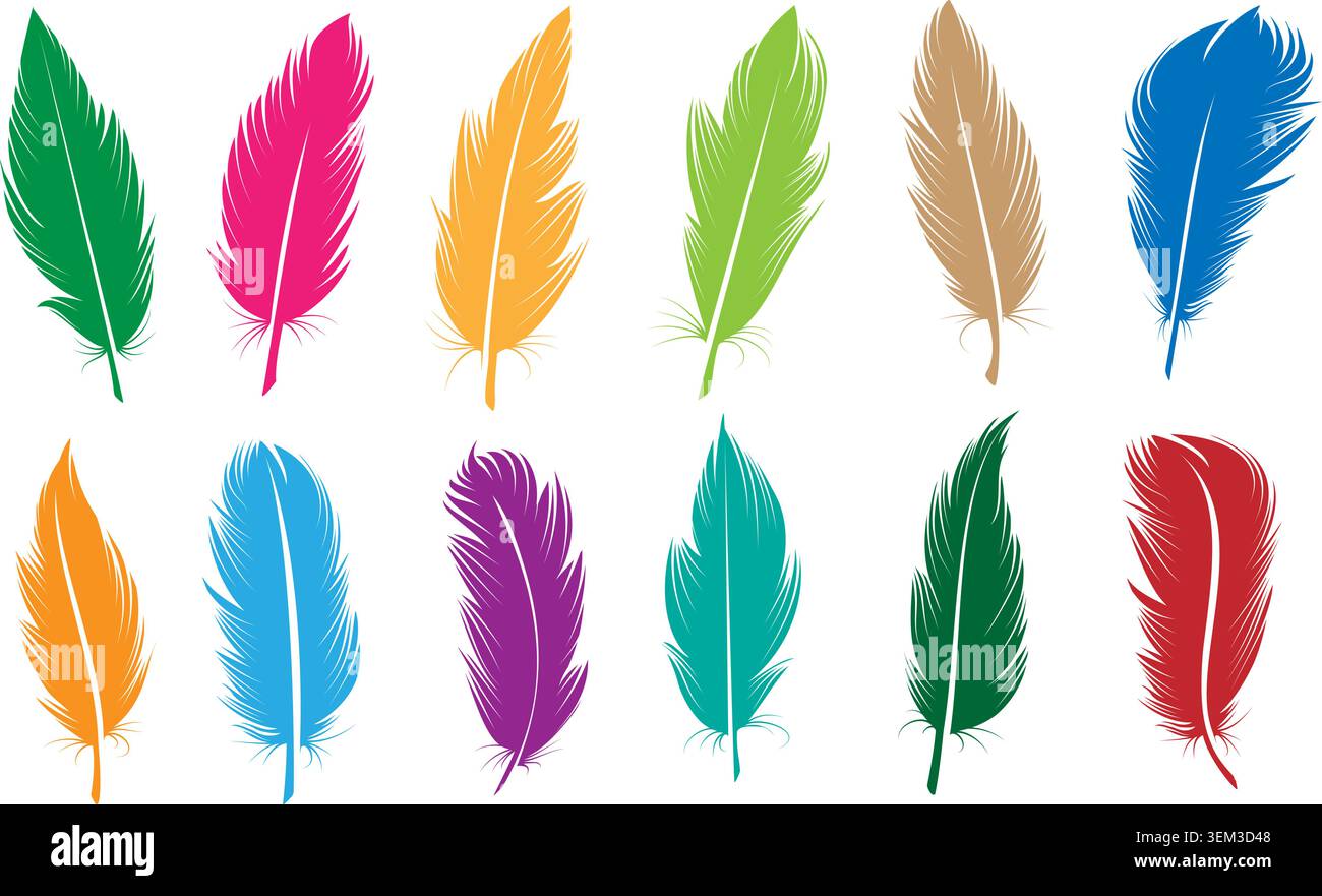 Colorful bird feather icons Stock Vector