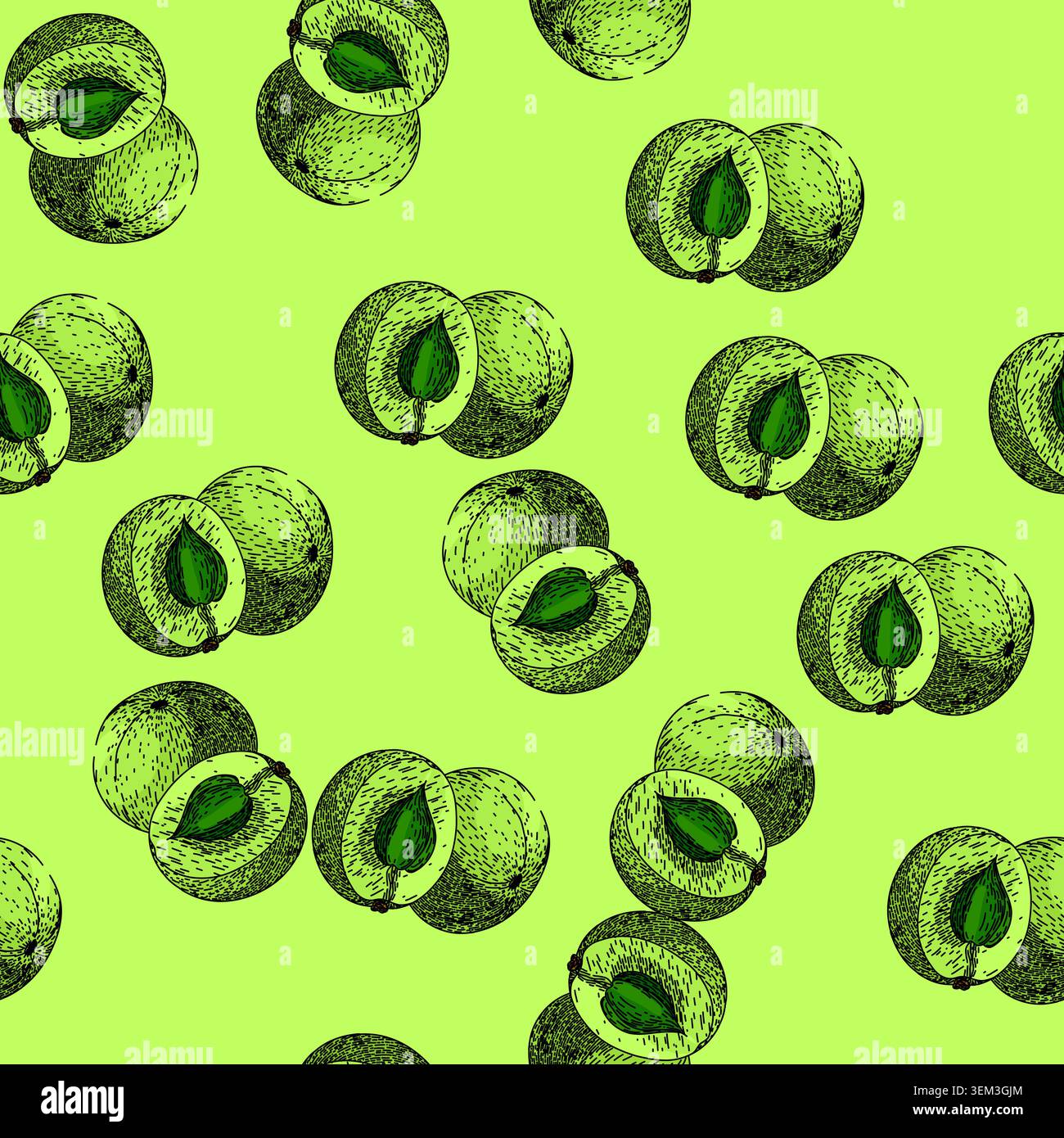 pattern ingredient amla sketch hand drawn Stock Vector