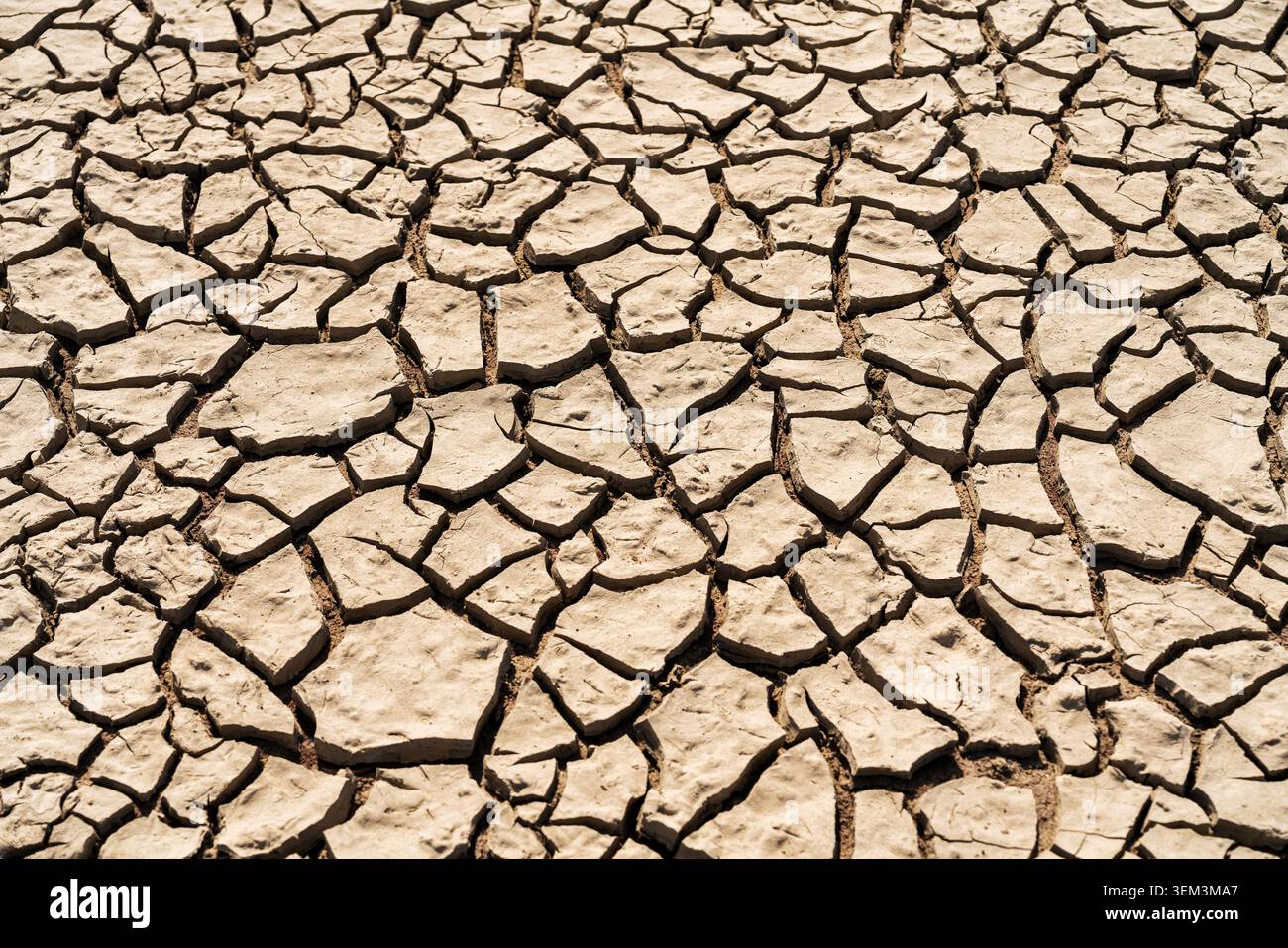 Natural cracked earth texture with desiccation pattern. Stock Photo
