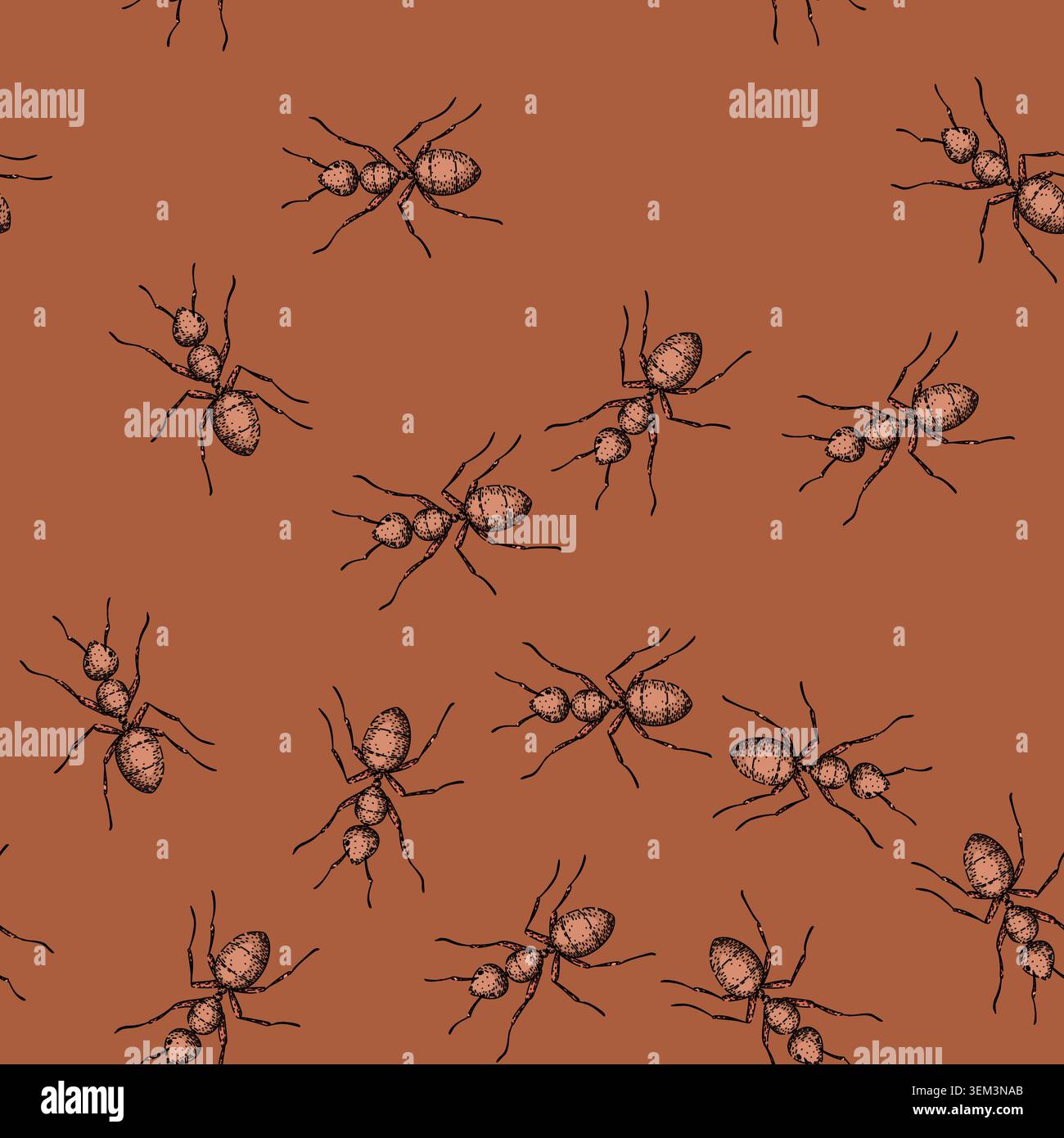 pattern nest ant sketch hand drawn Stock Vector