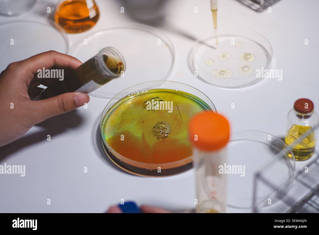 Researchers working in the clinical laboratory Stock Photo