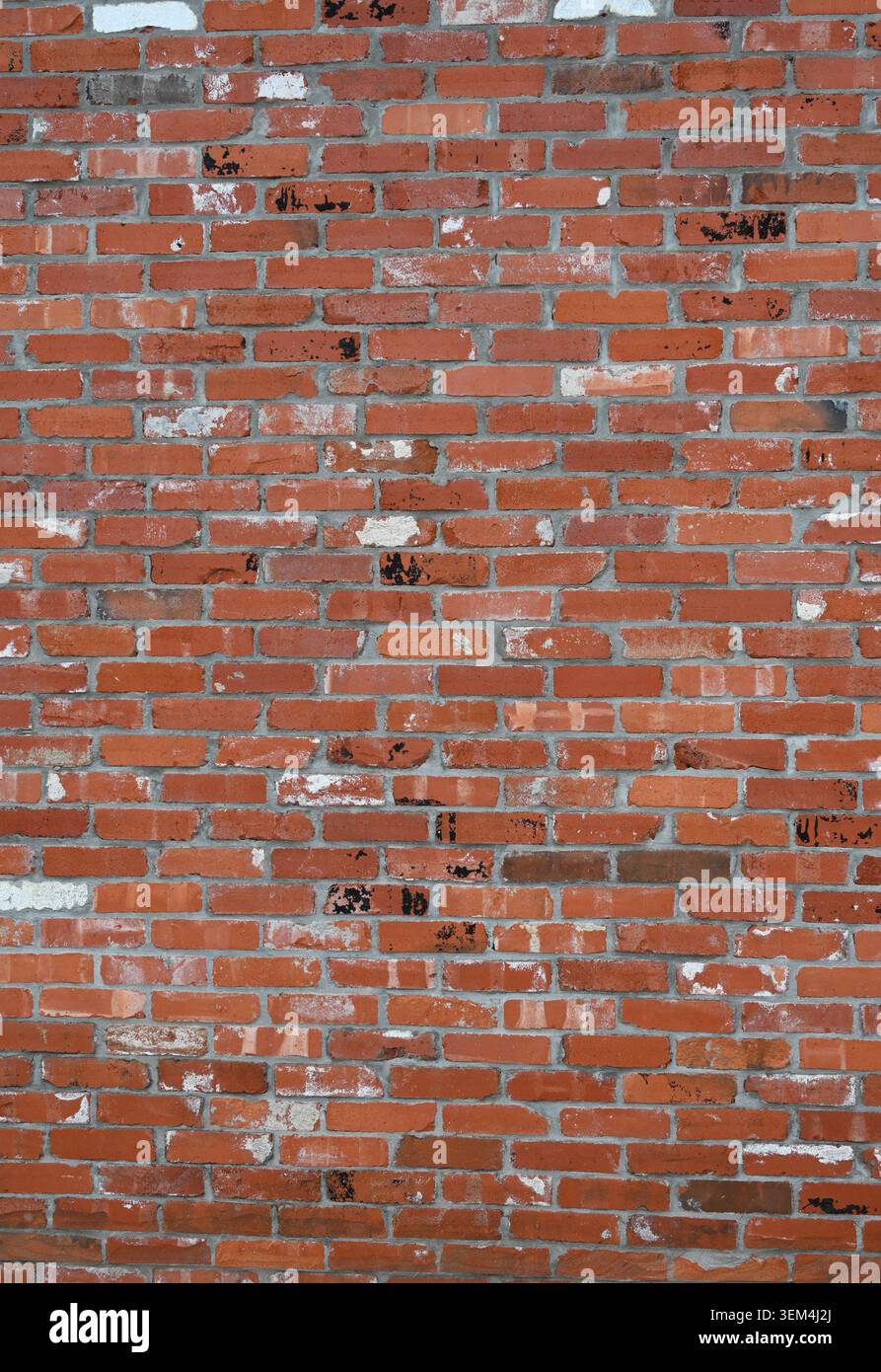 Reclaimed red brick and mortar wall surface with scattered darker red bricks, chipped and broken Stock Photo